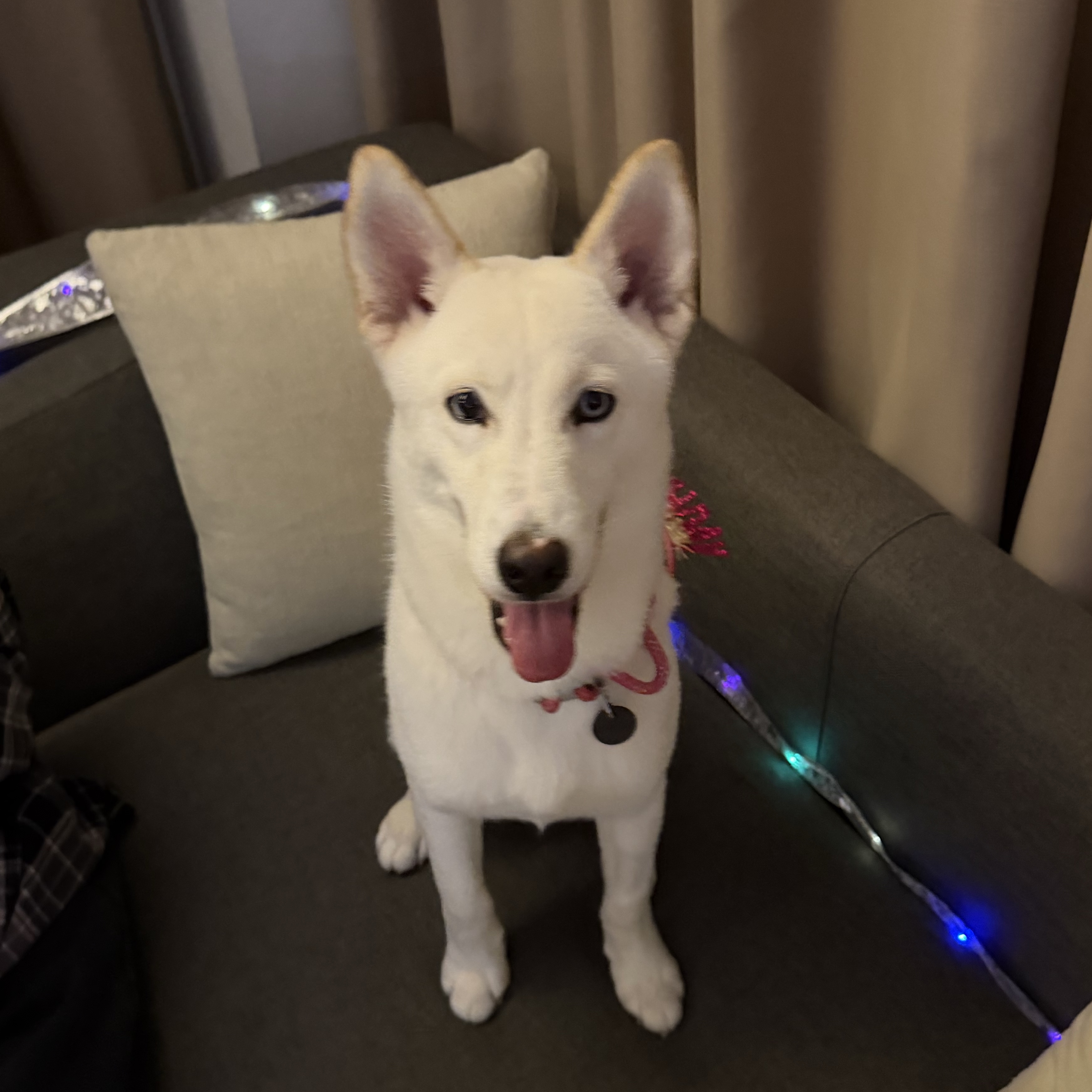 kairo