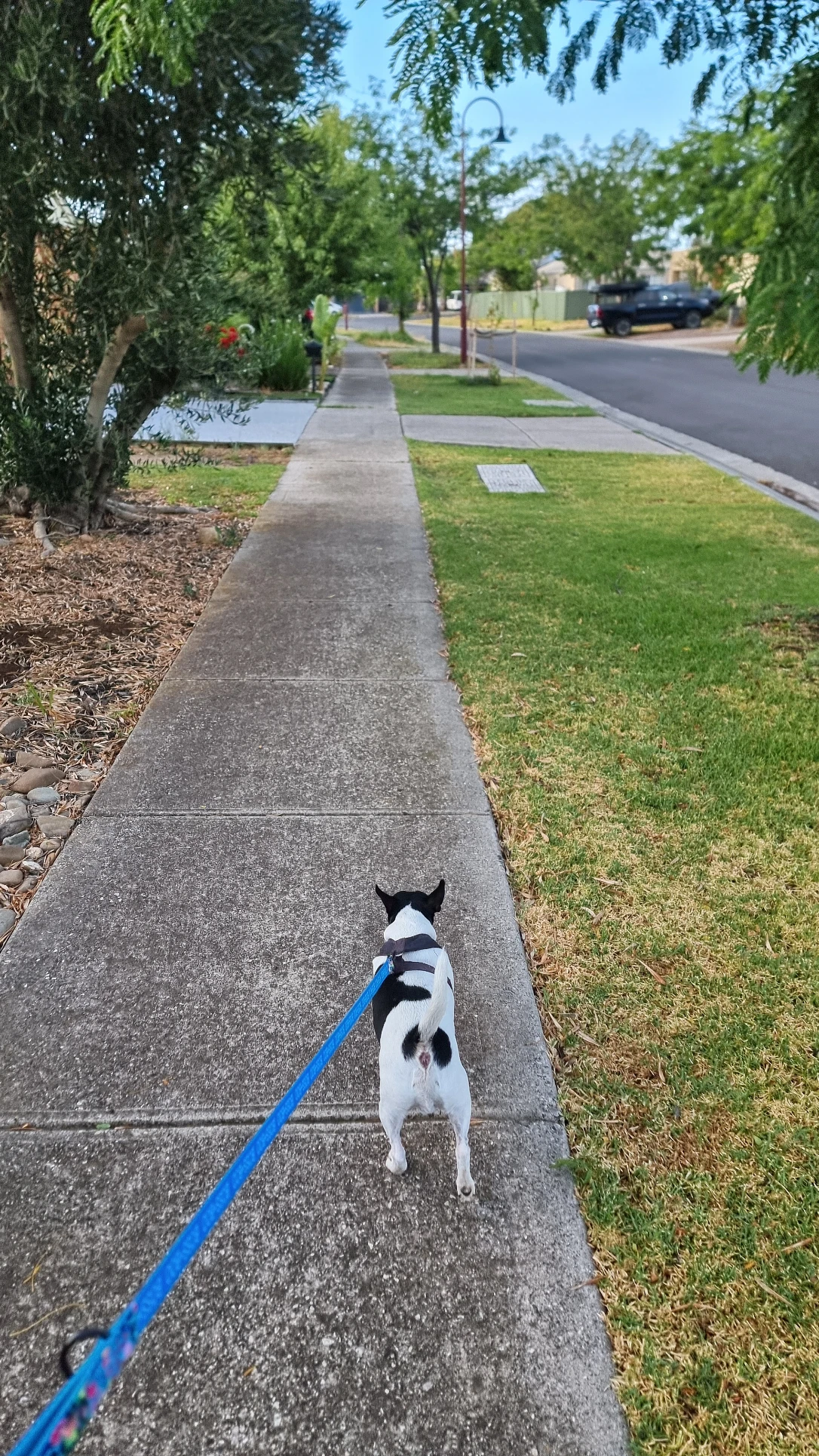 image-17
