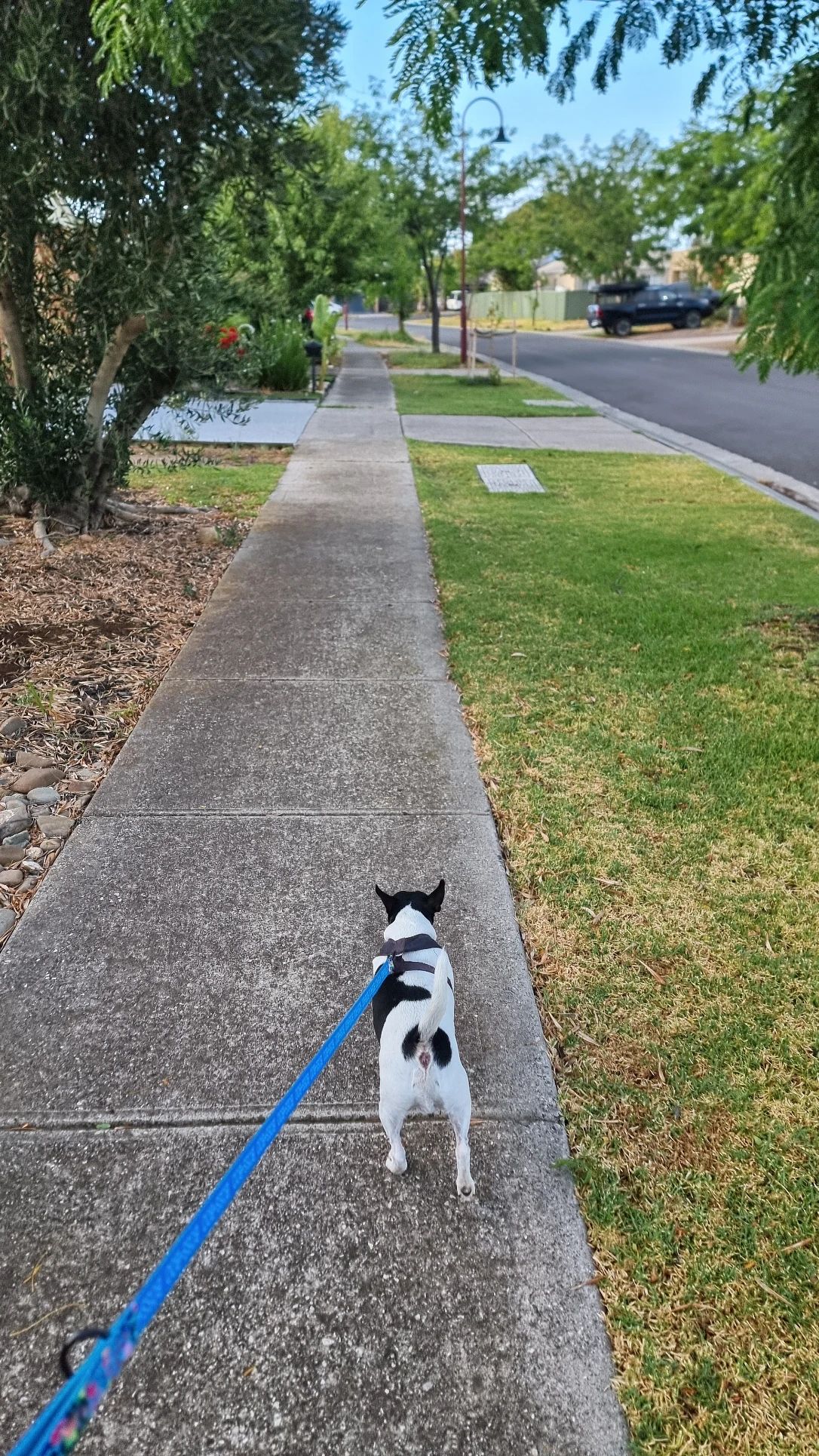 image-17