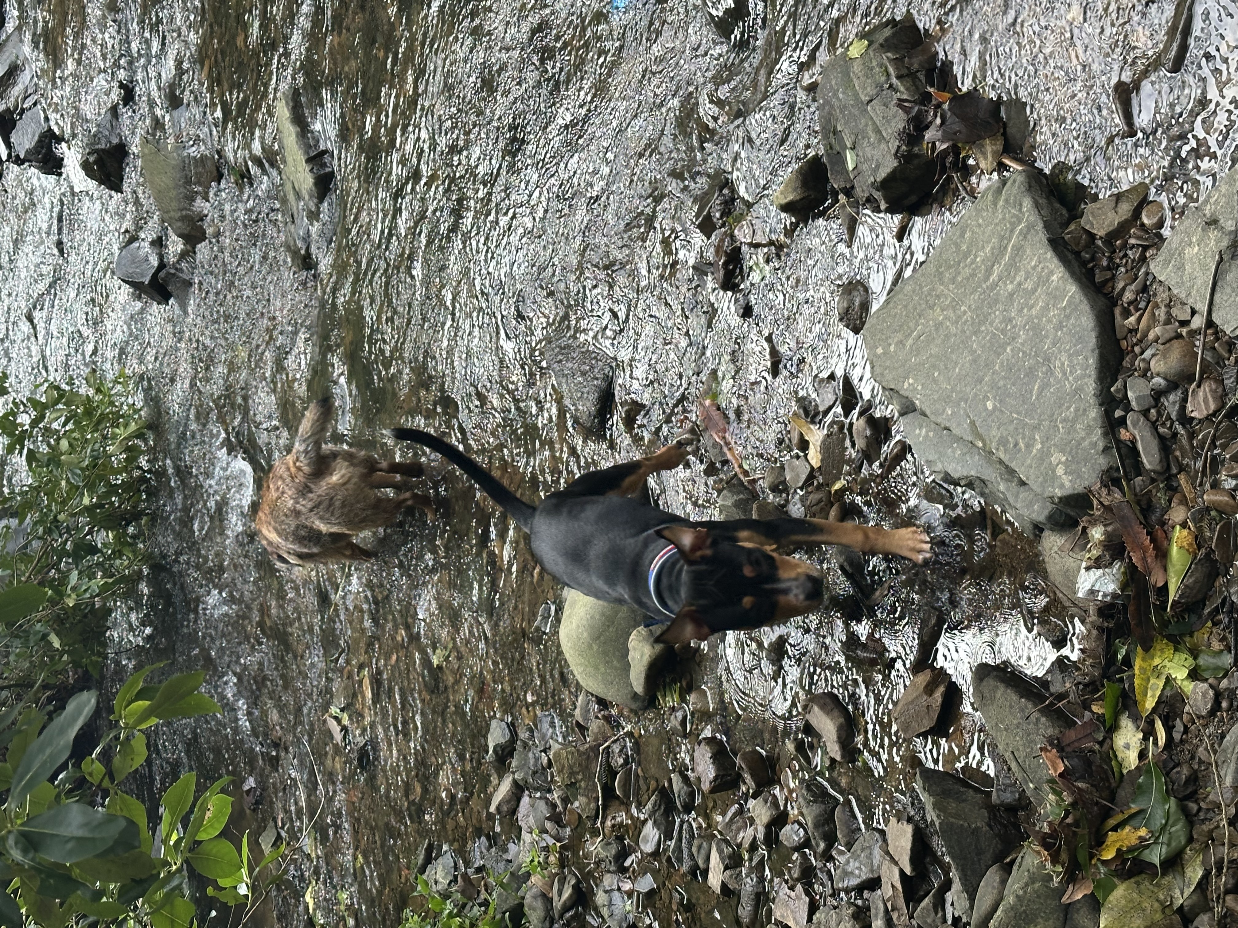 image-10
