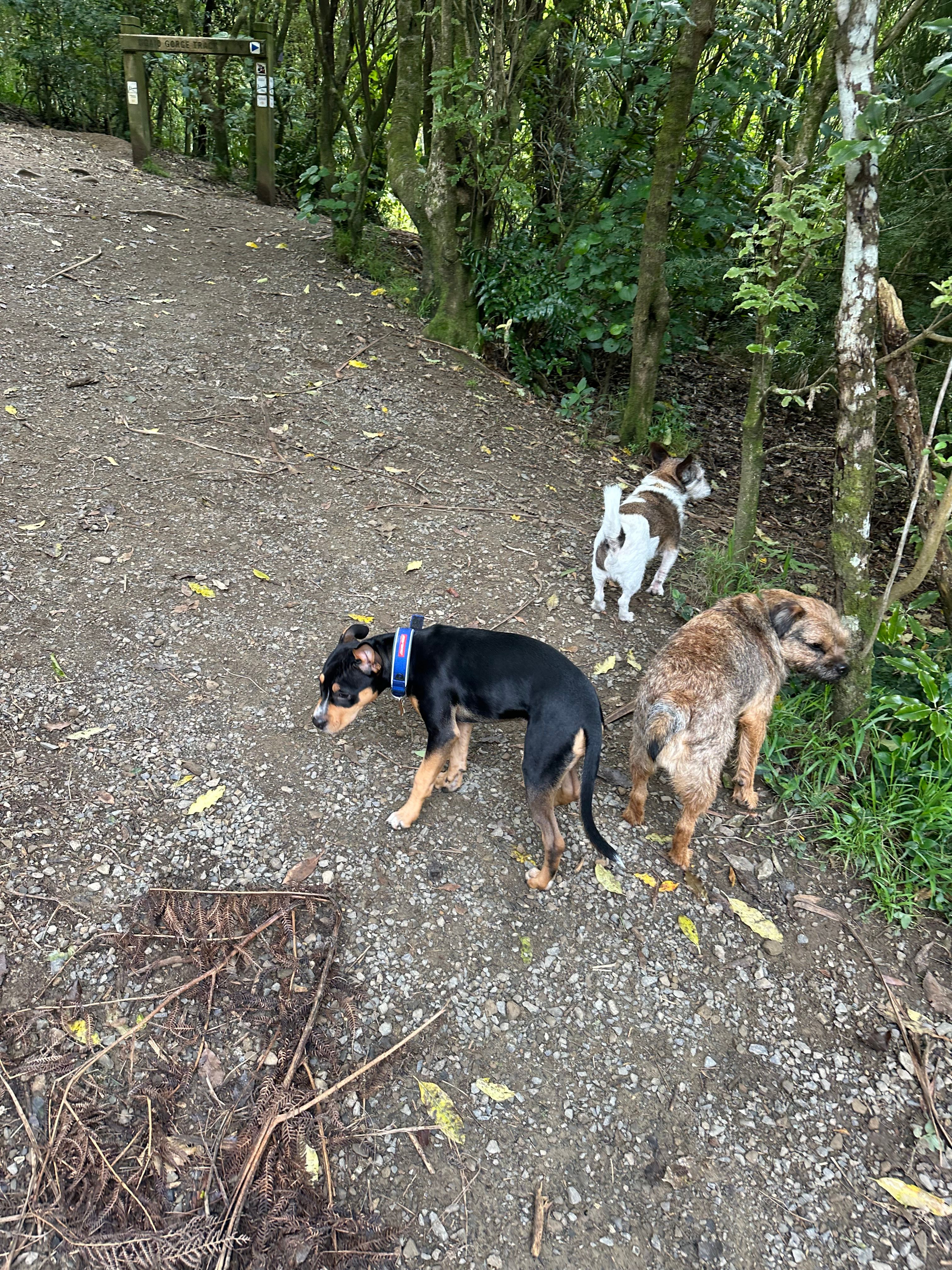 image-9