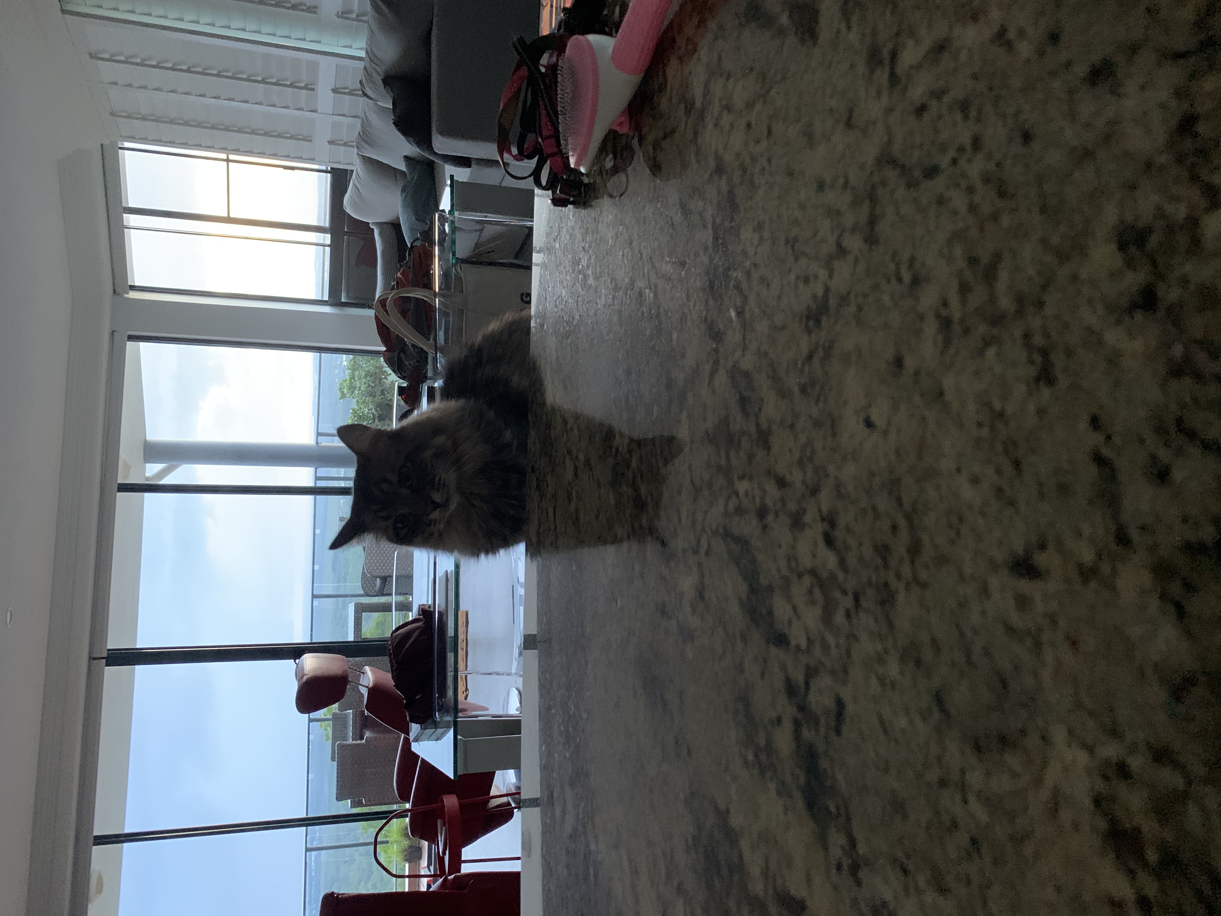 image-33