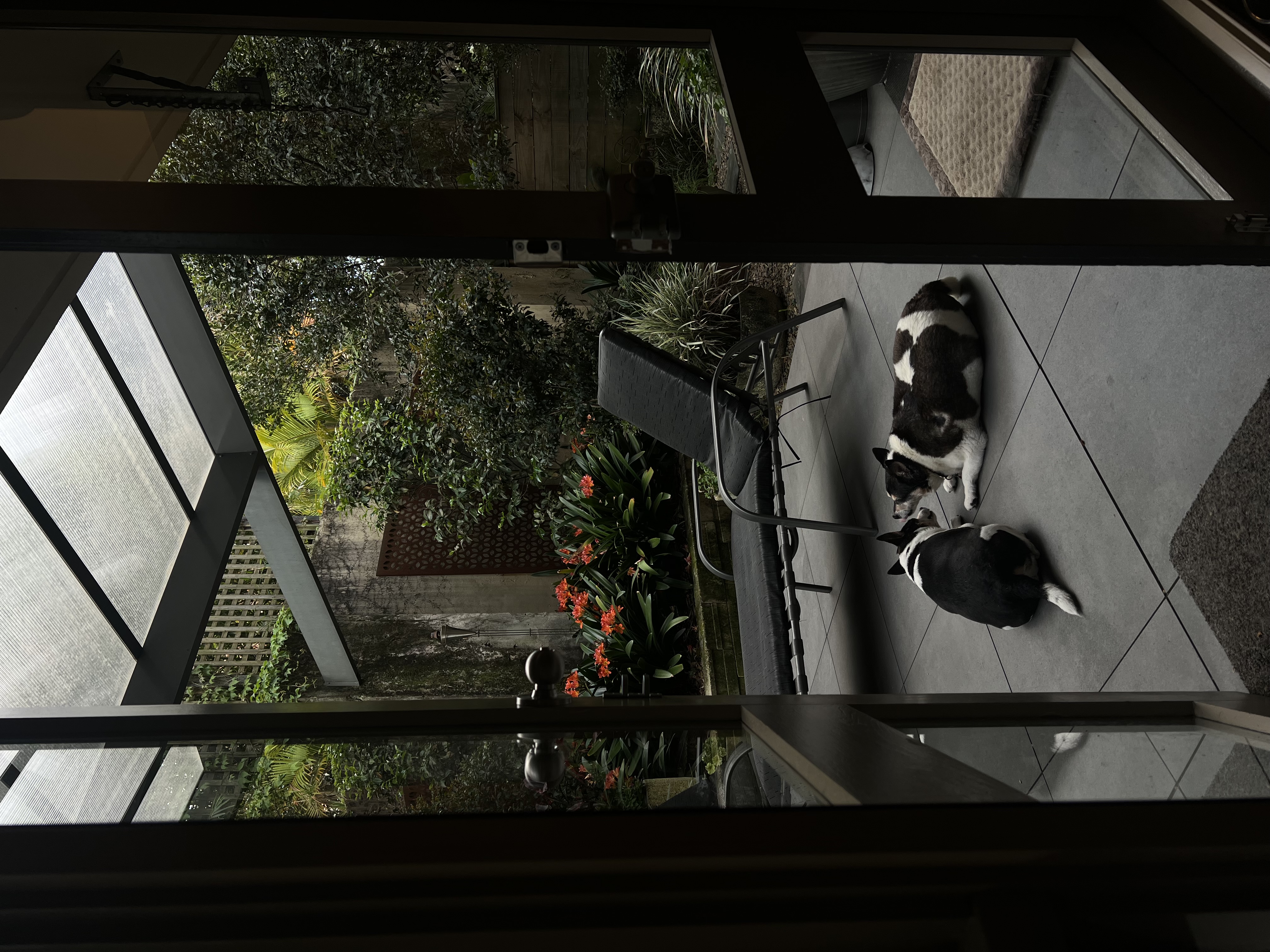 image-6