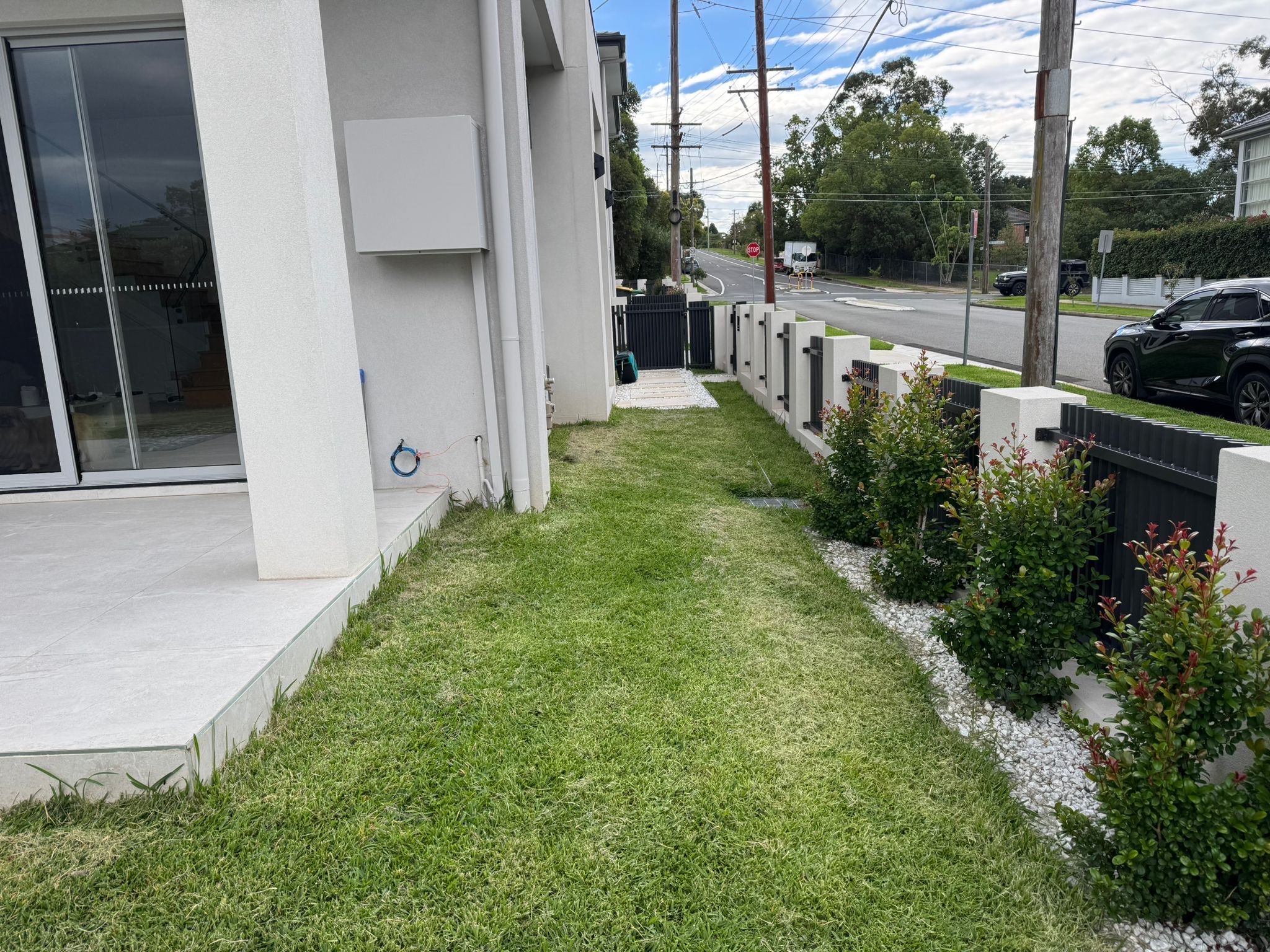 image-7