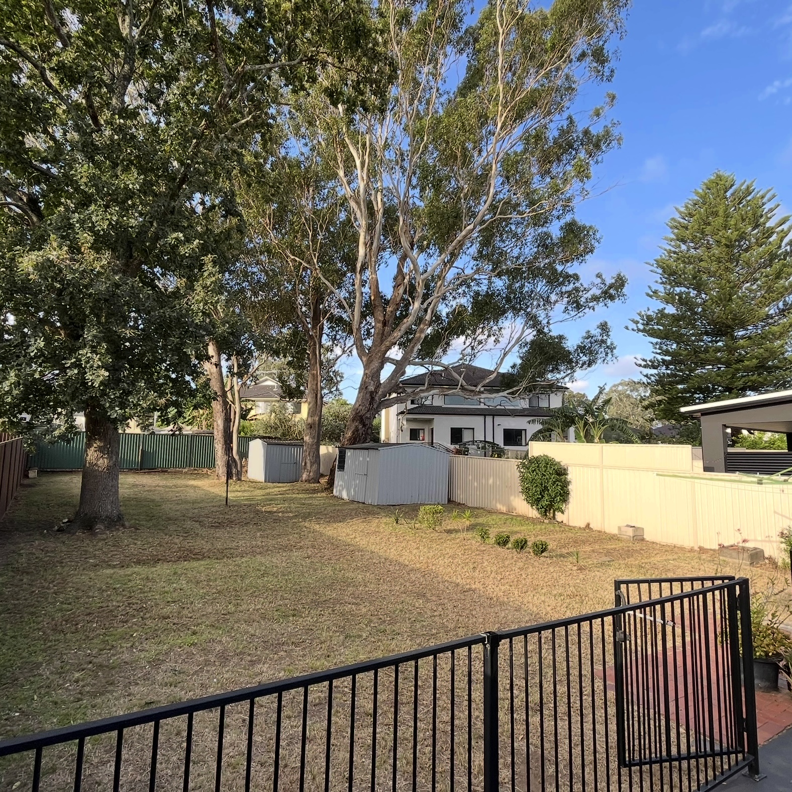 image-15