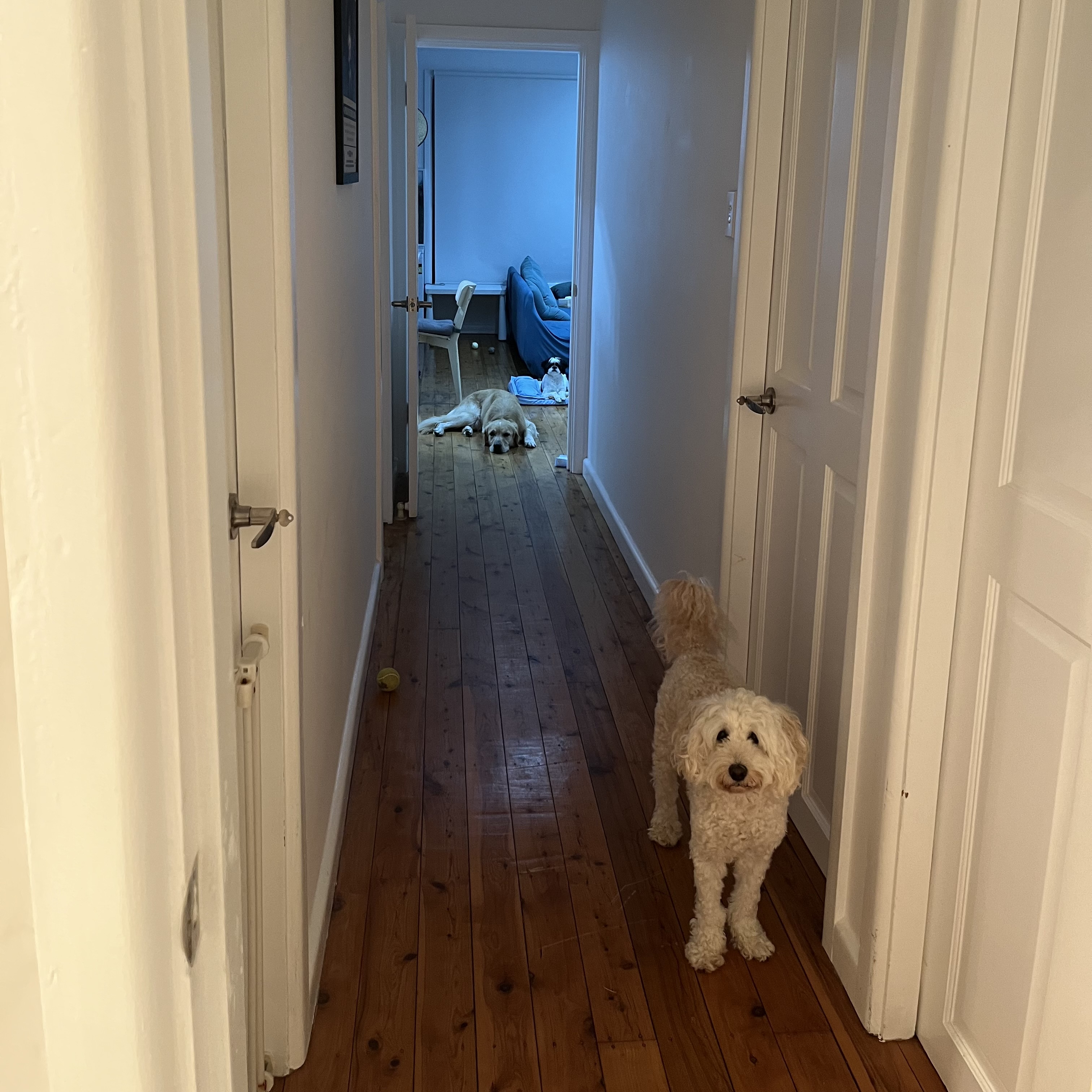 image-20
