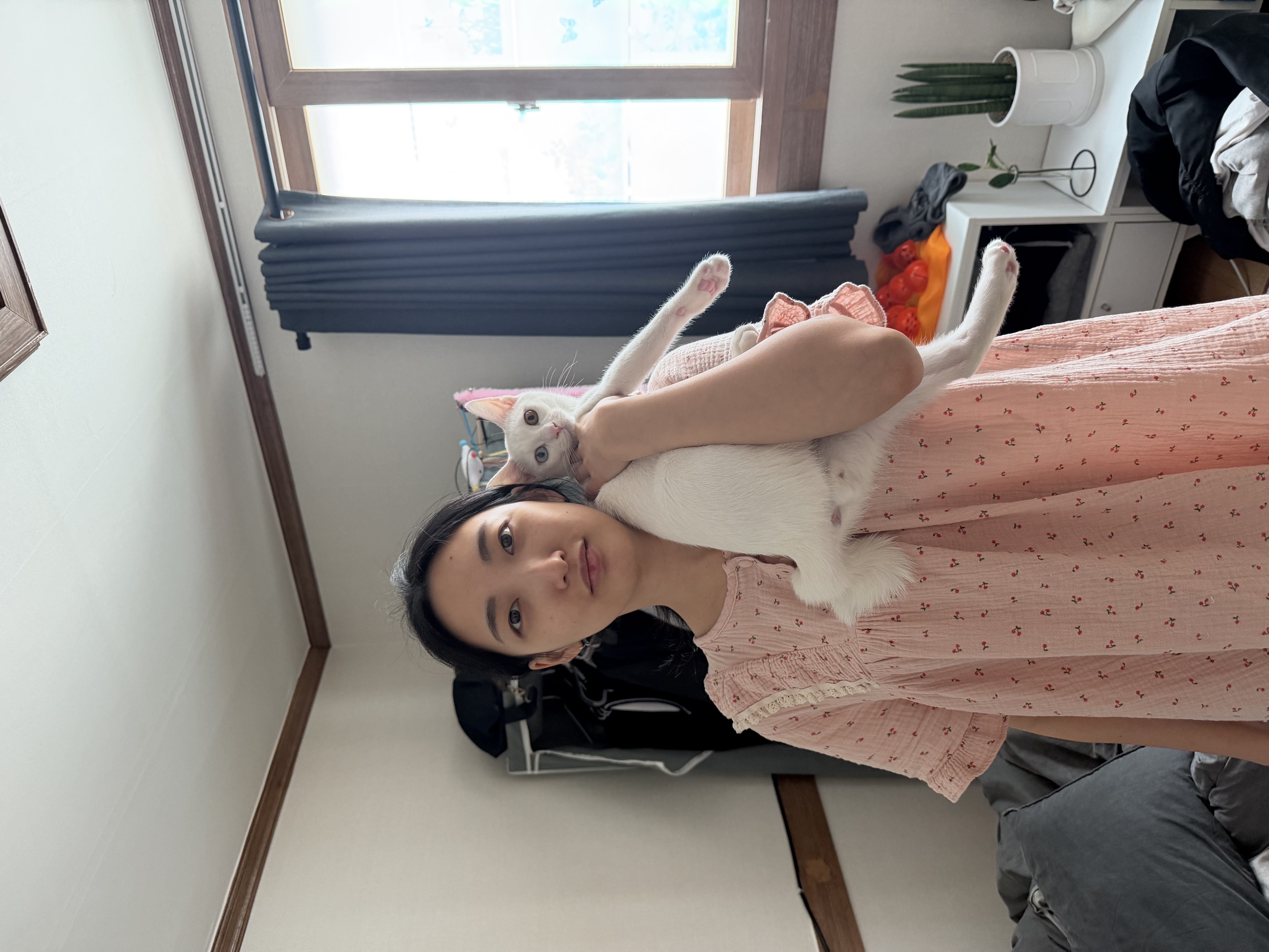 image-4