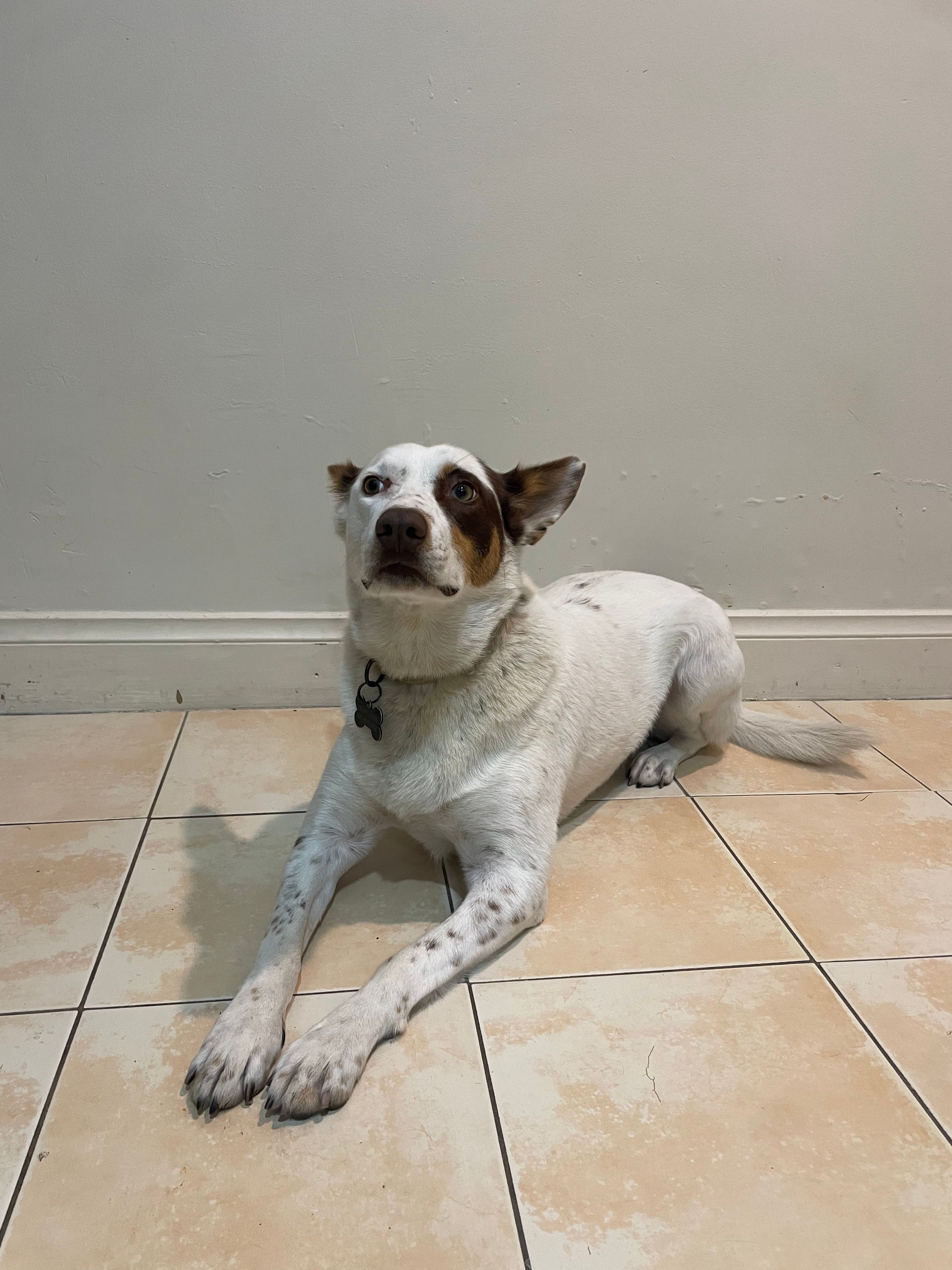 image-14