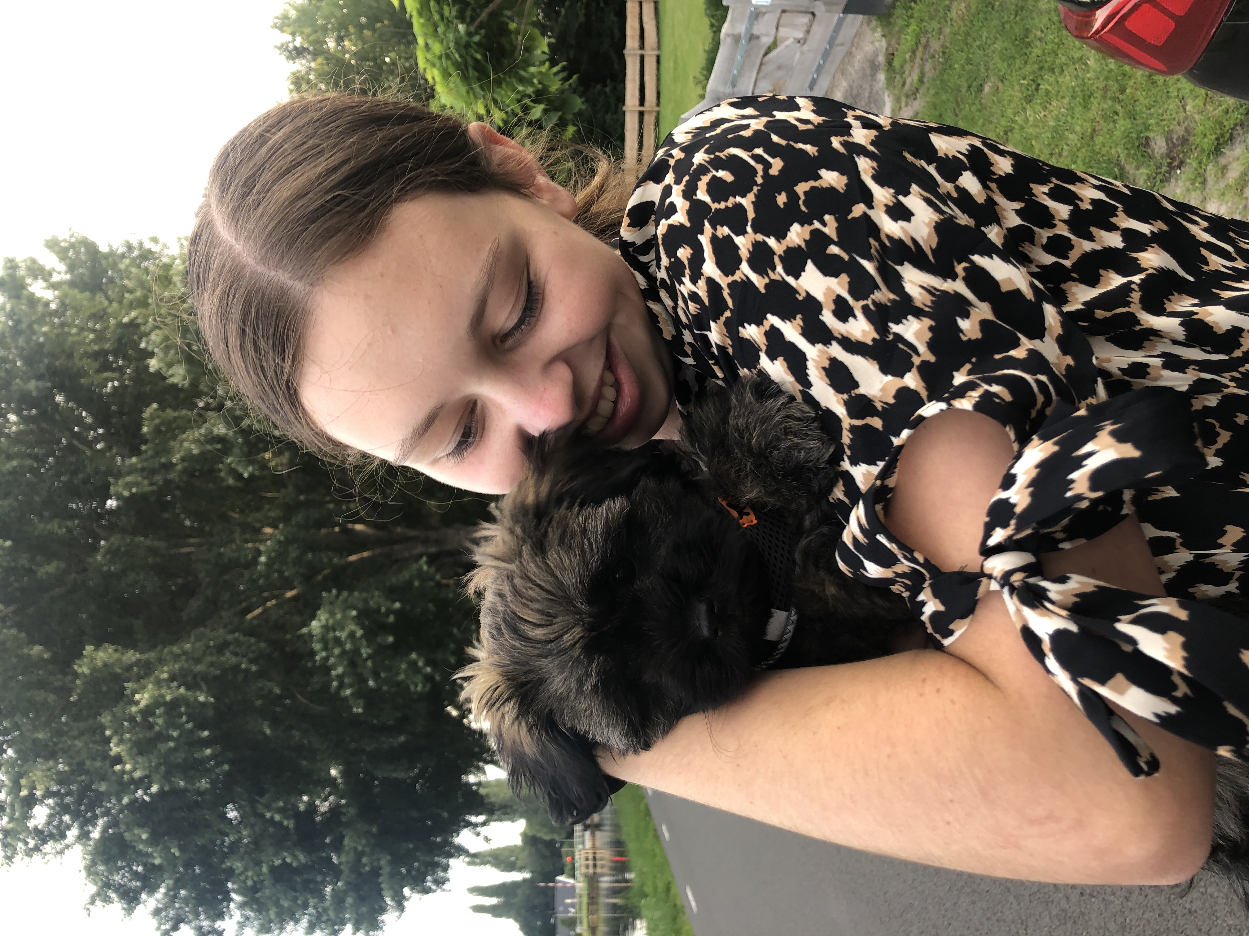 image-3