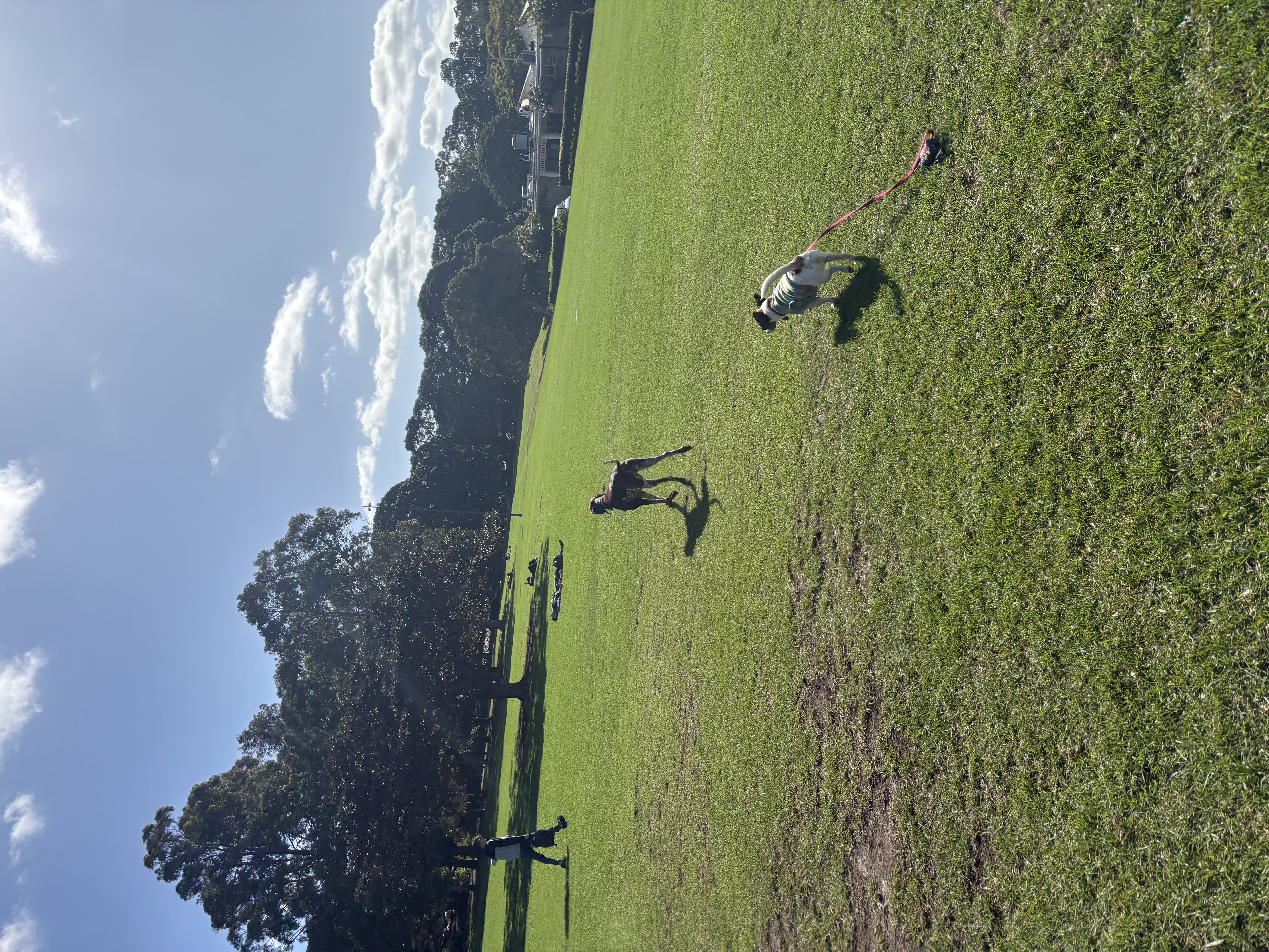 image-14