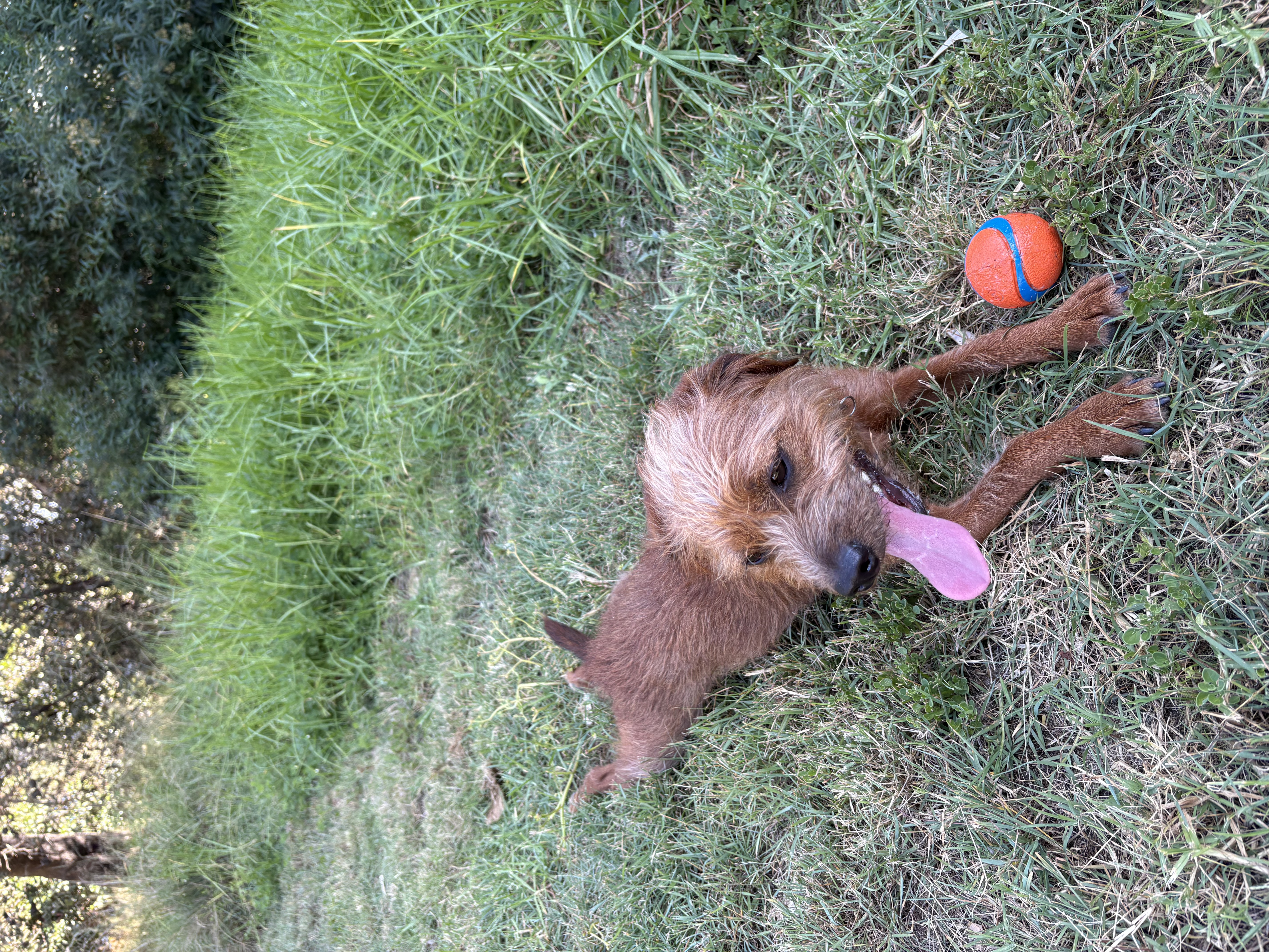 image-7