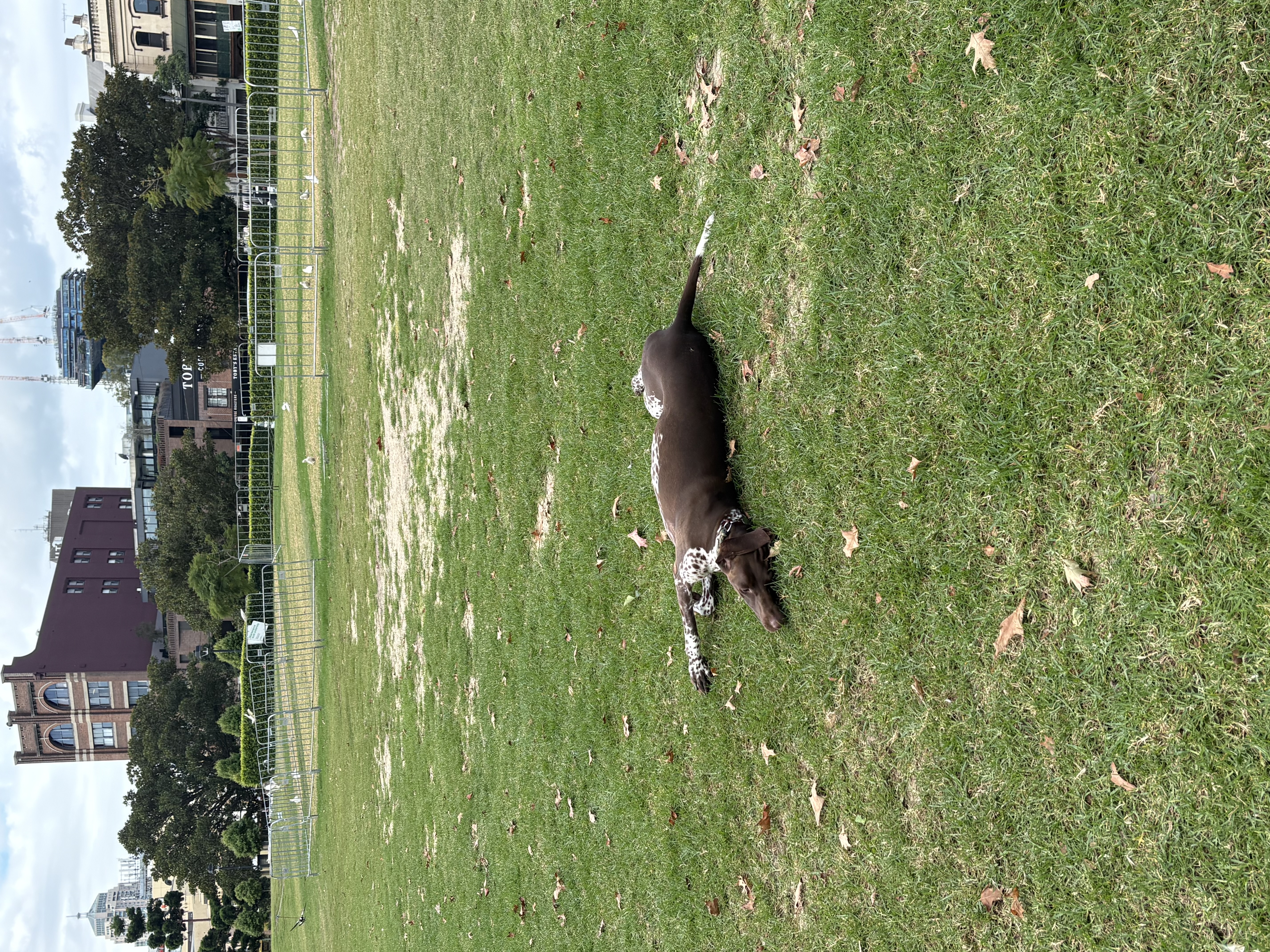 image-10