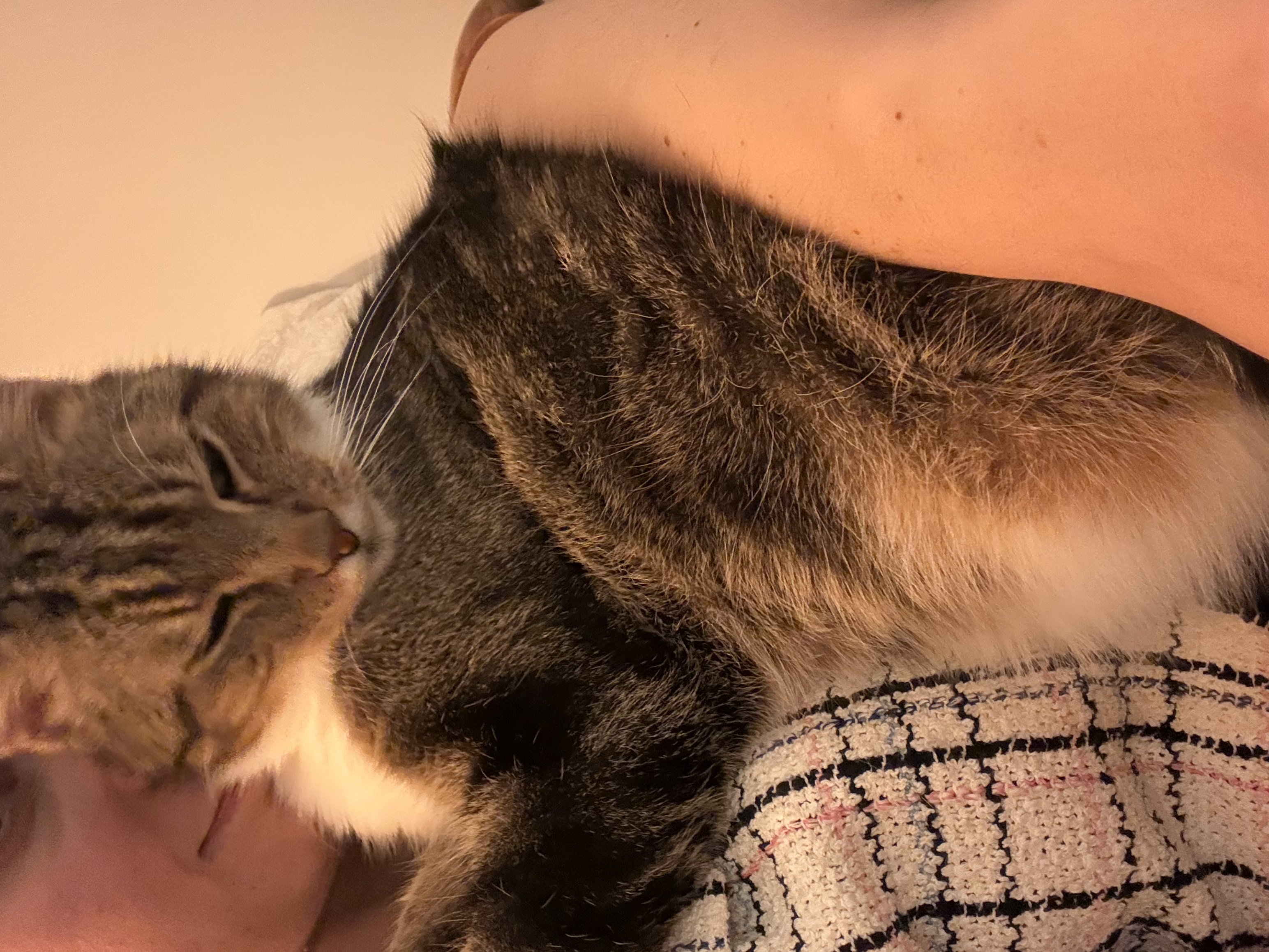 image-8