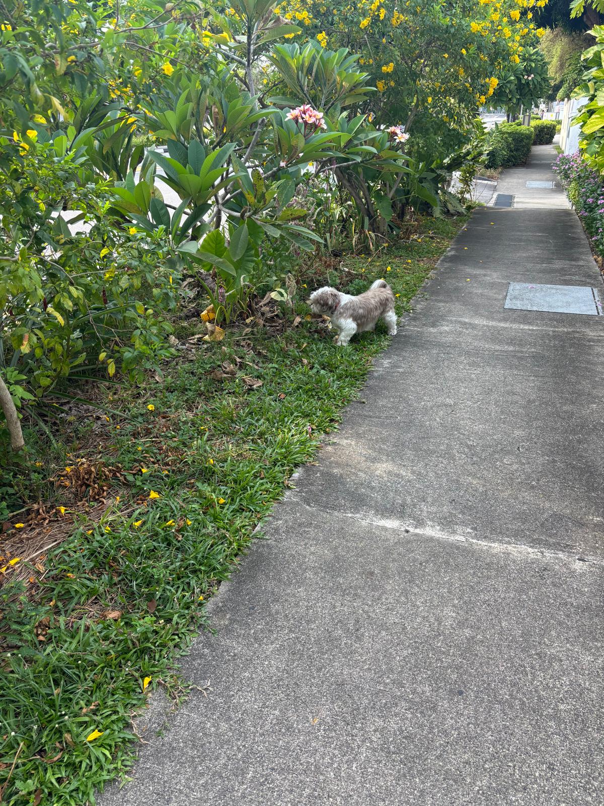 image-8