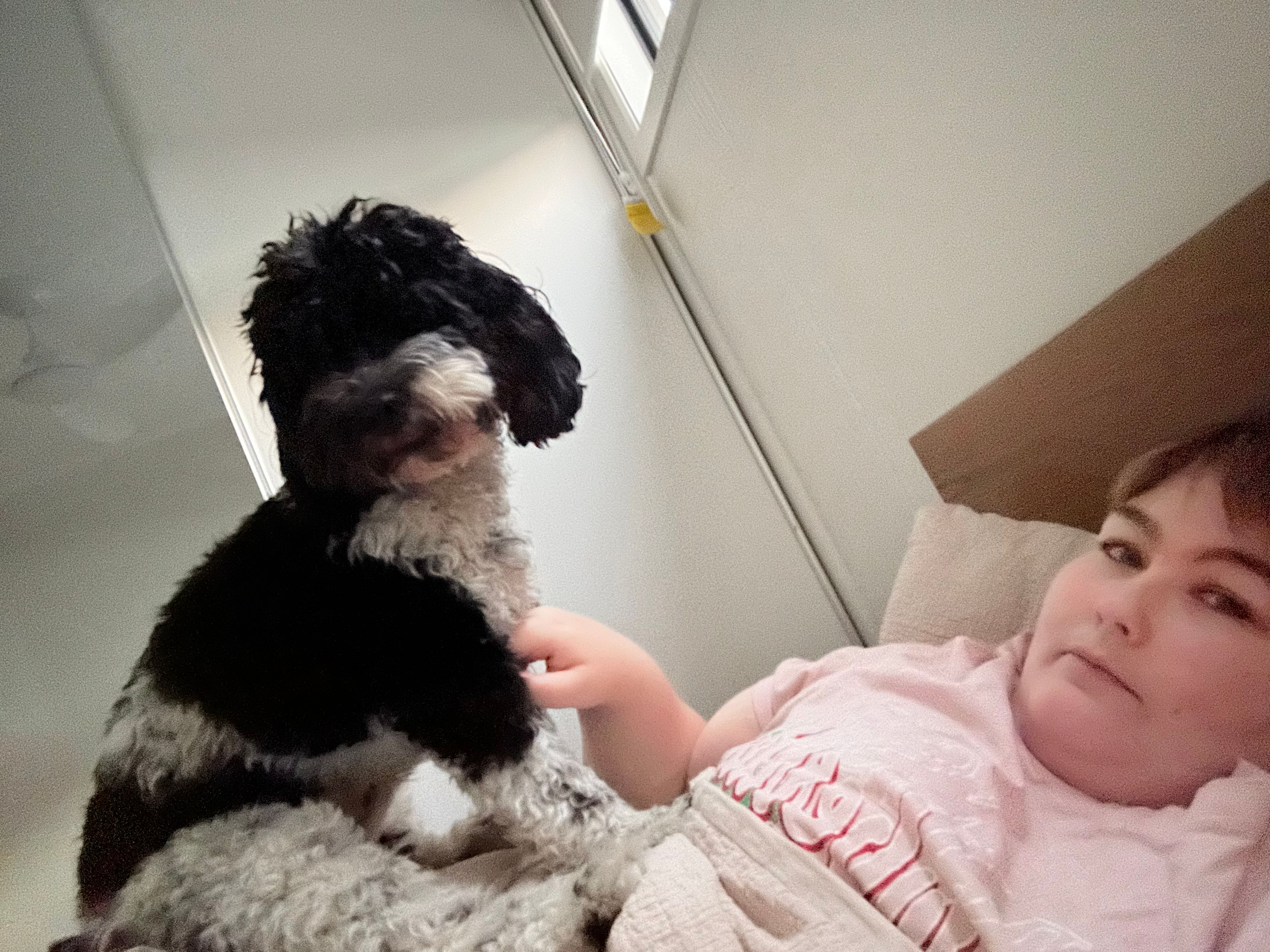 image-7