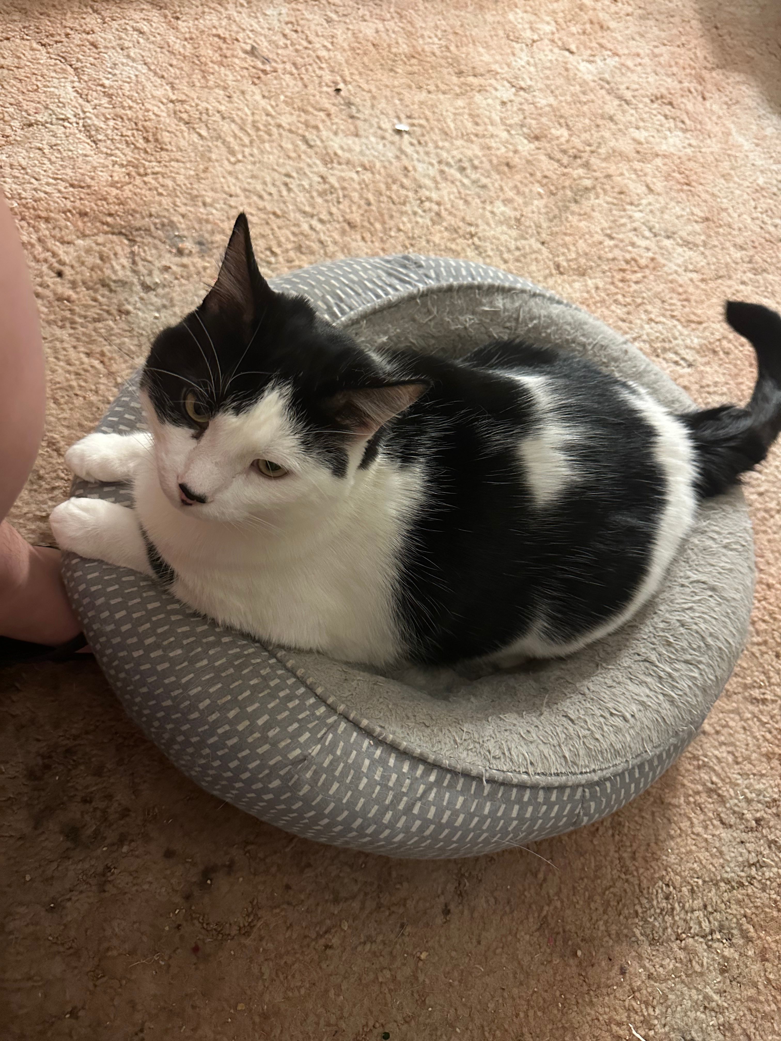 image-15