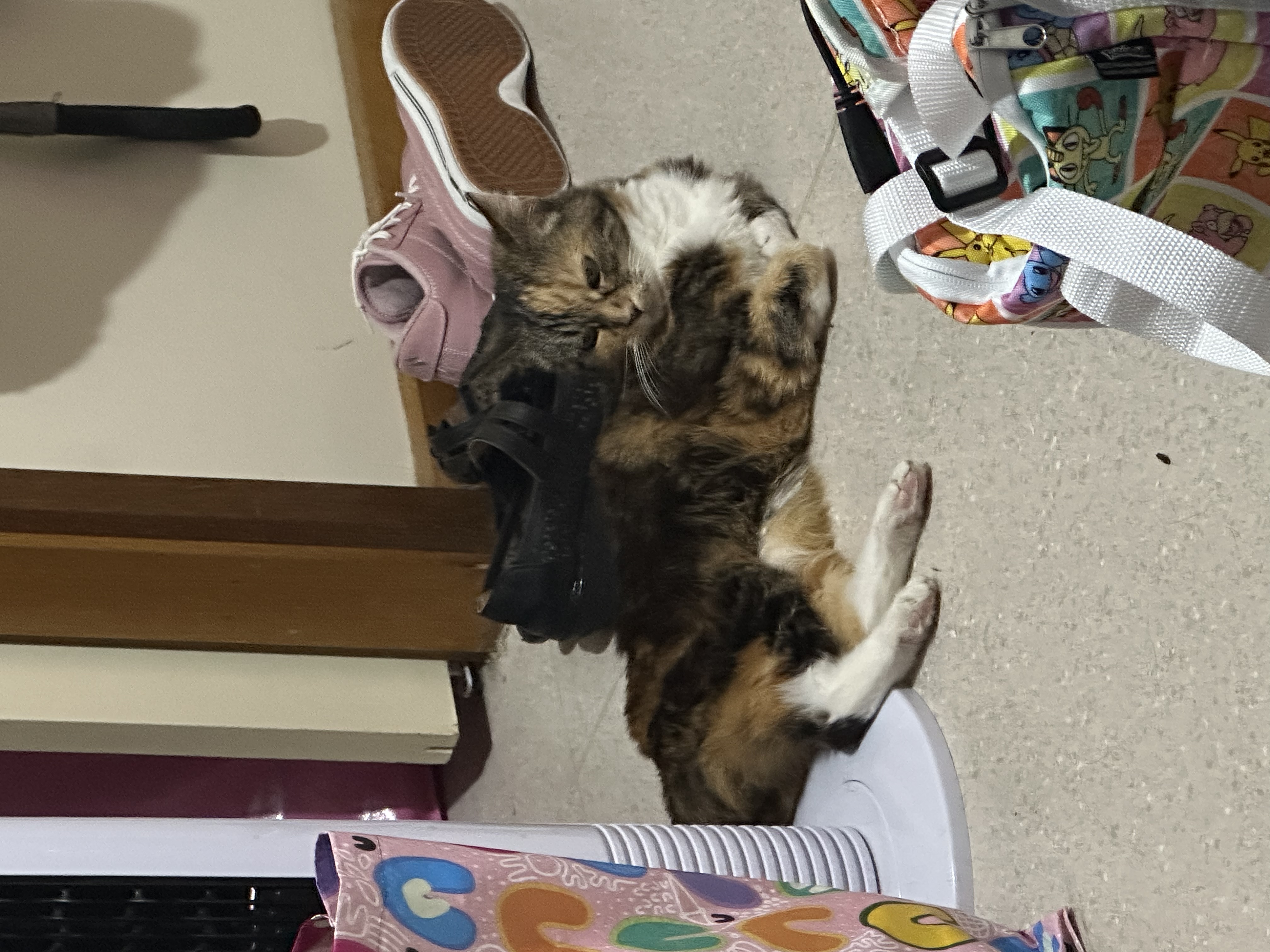 image-6