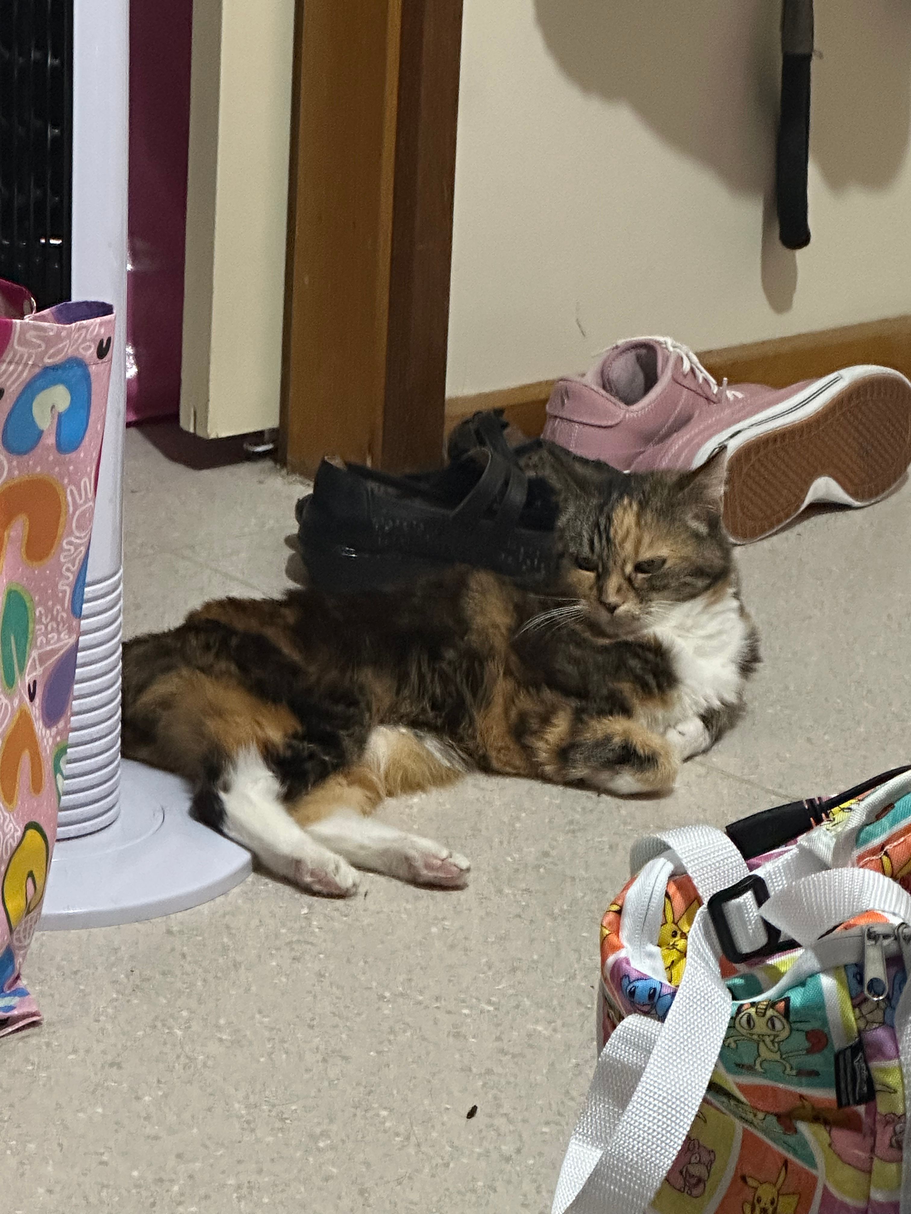 image-6