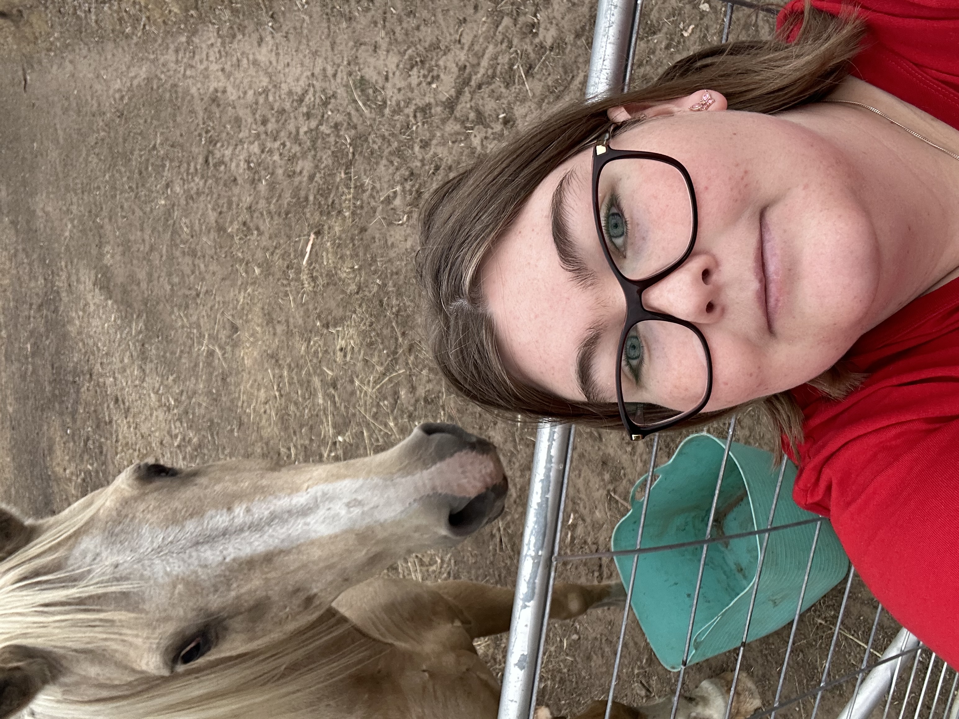 image-17