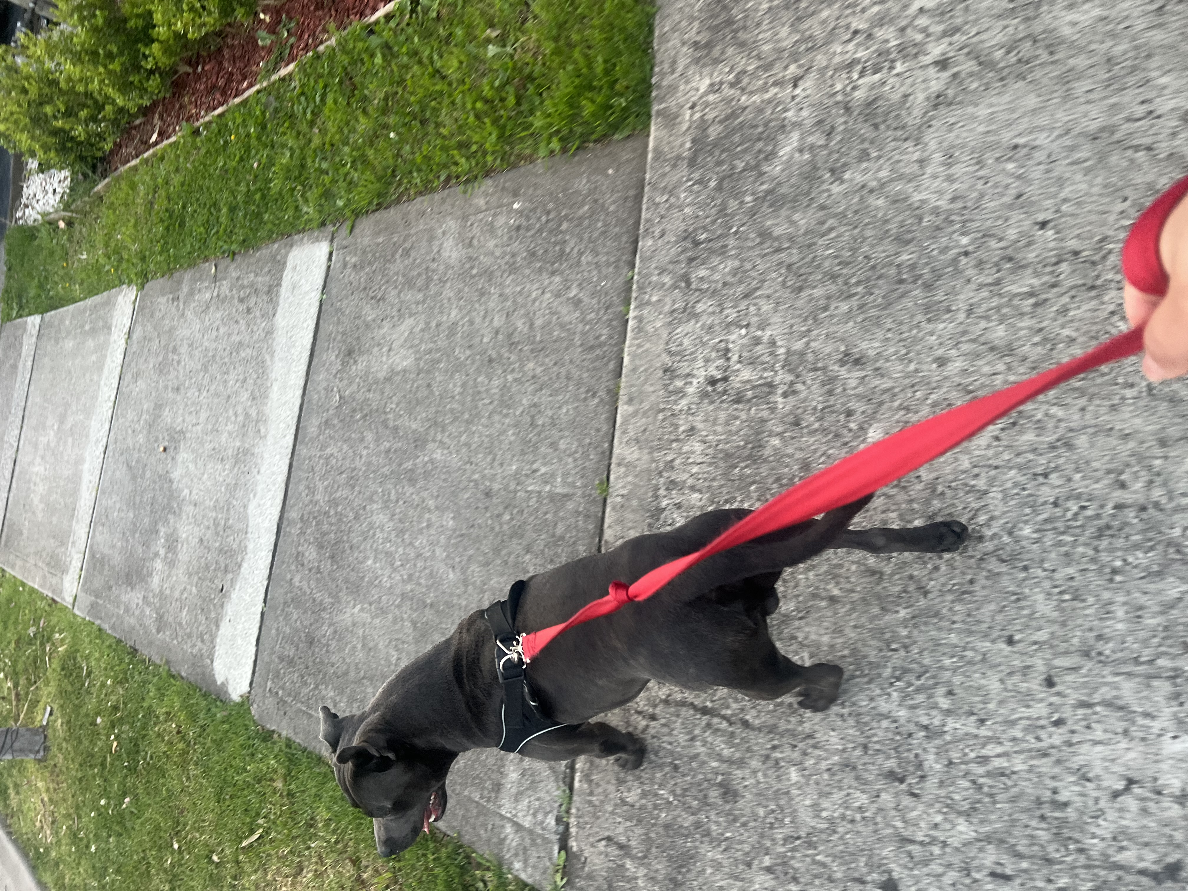 image-7