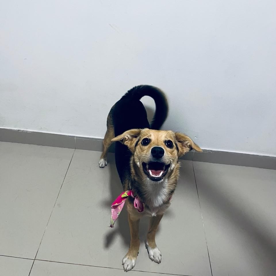 Luna