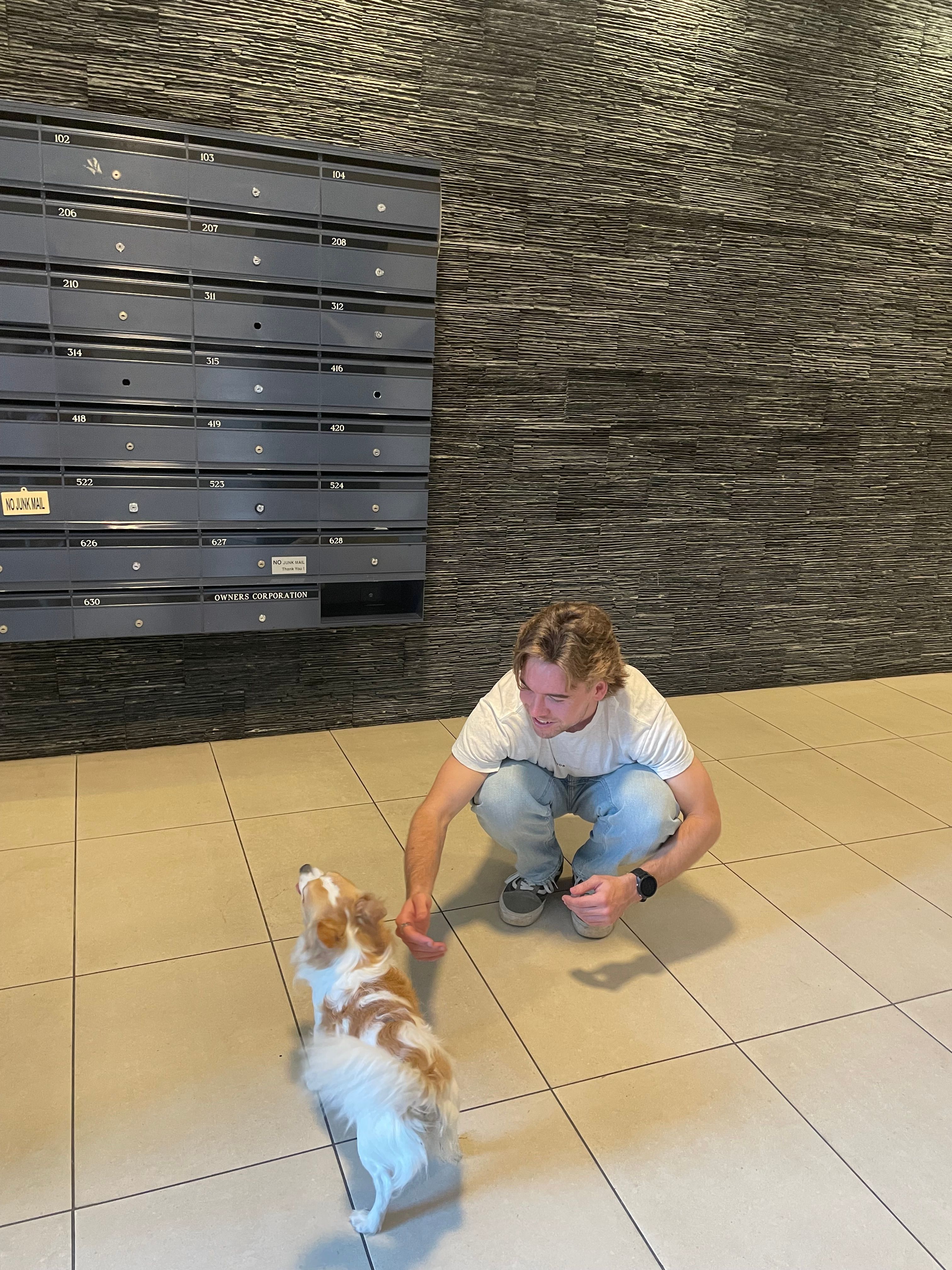 image-15