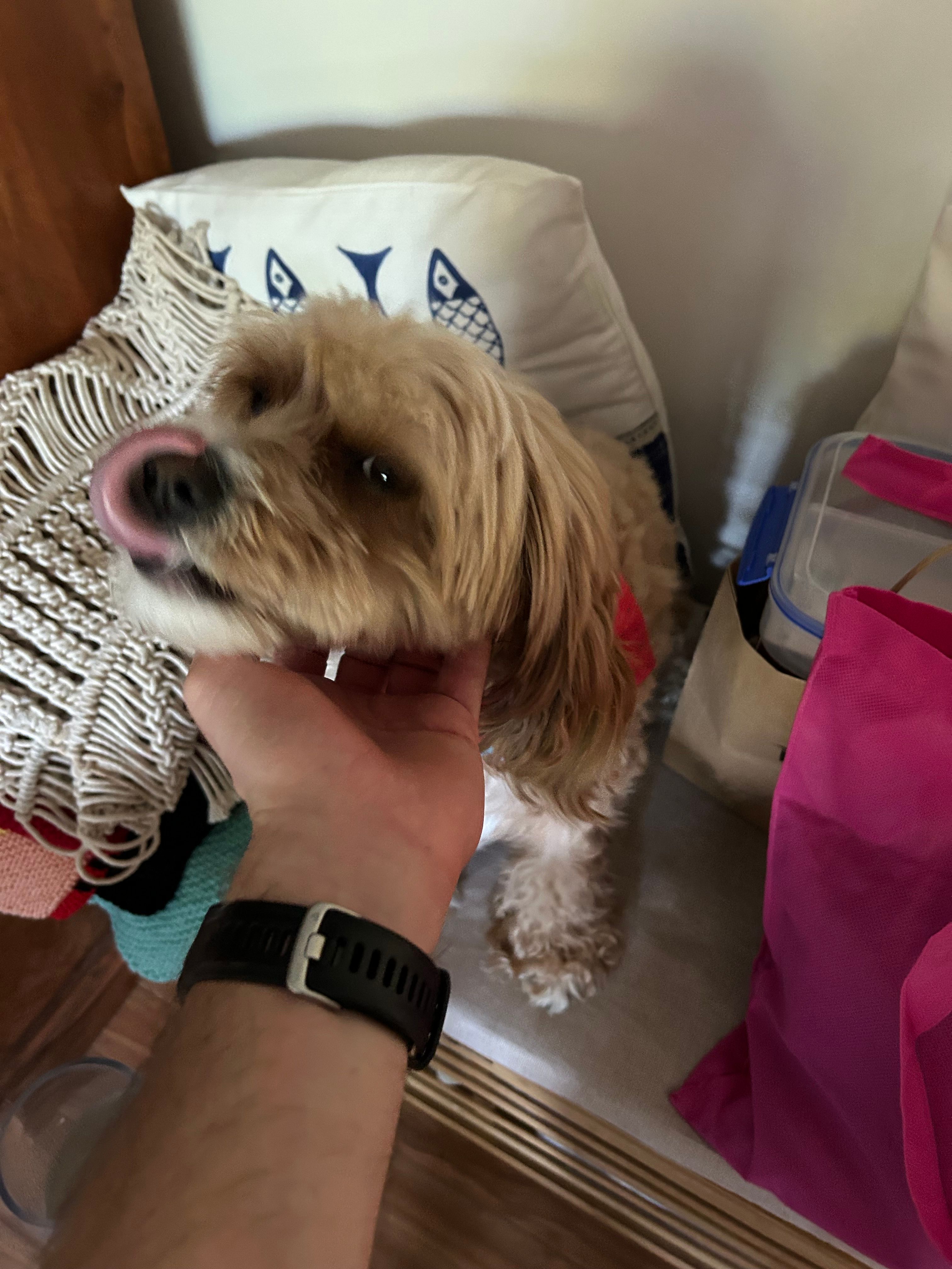 image-6