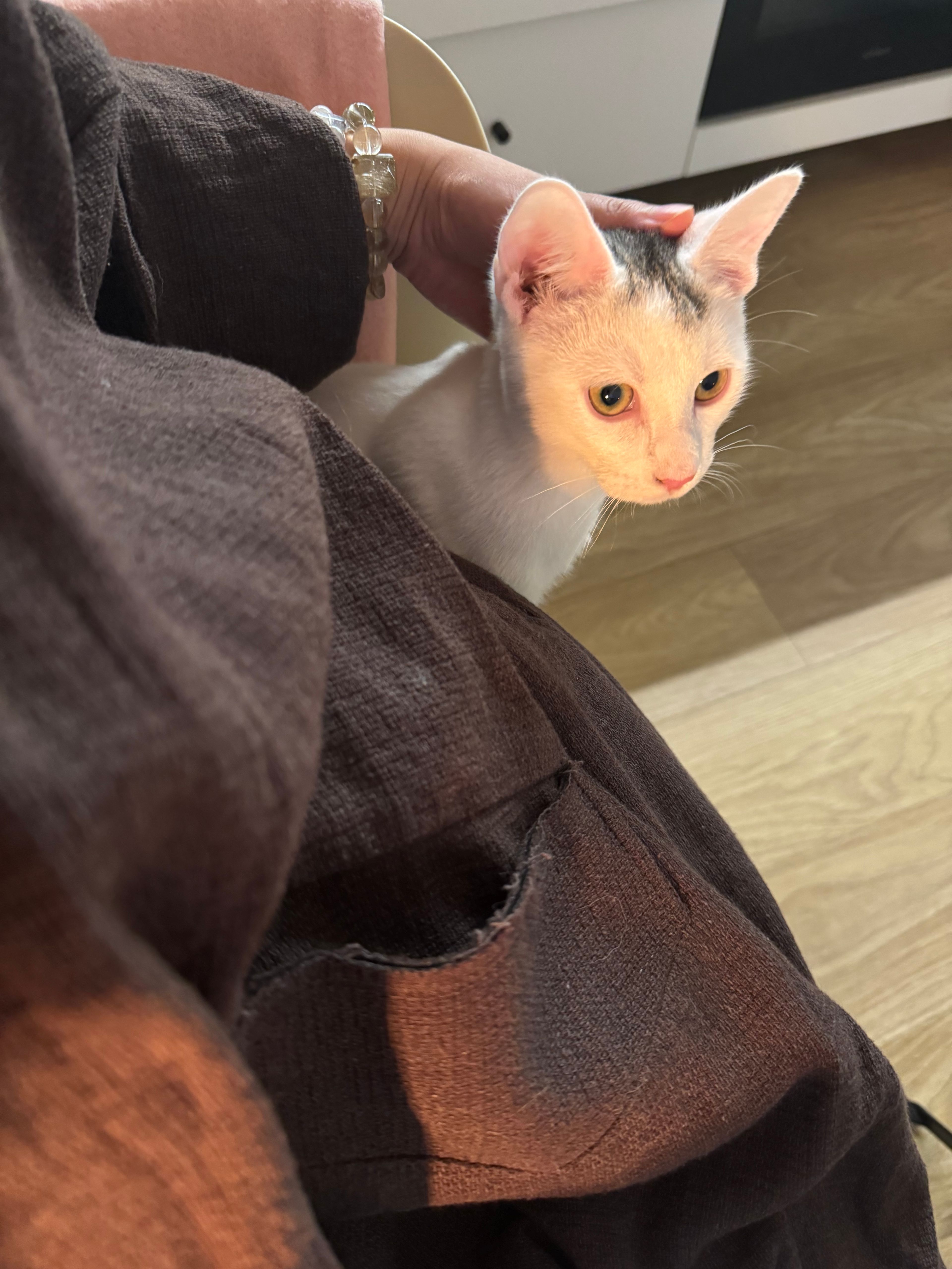 image-6