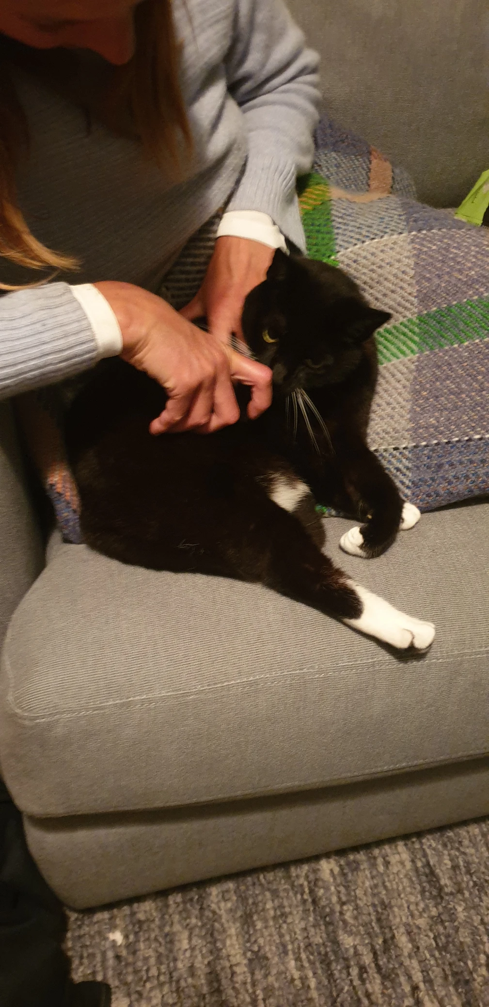 image-8