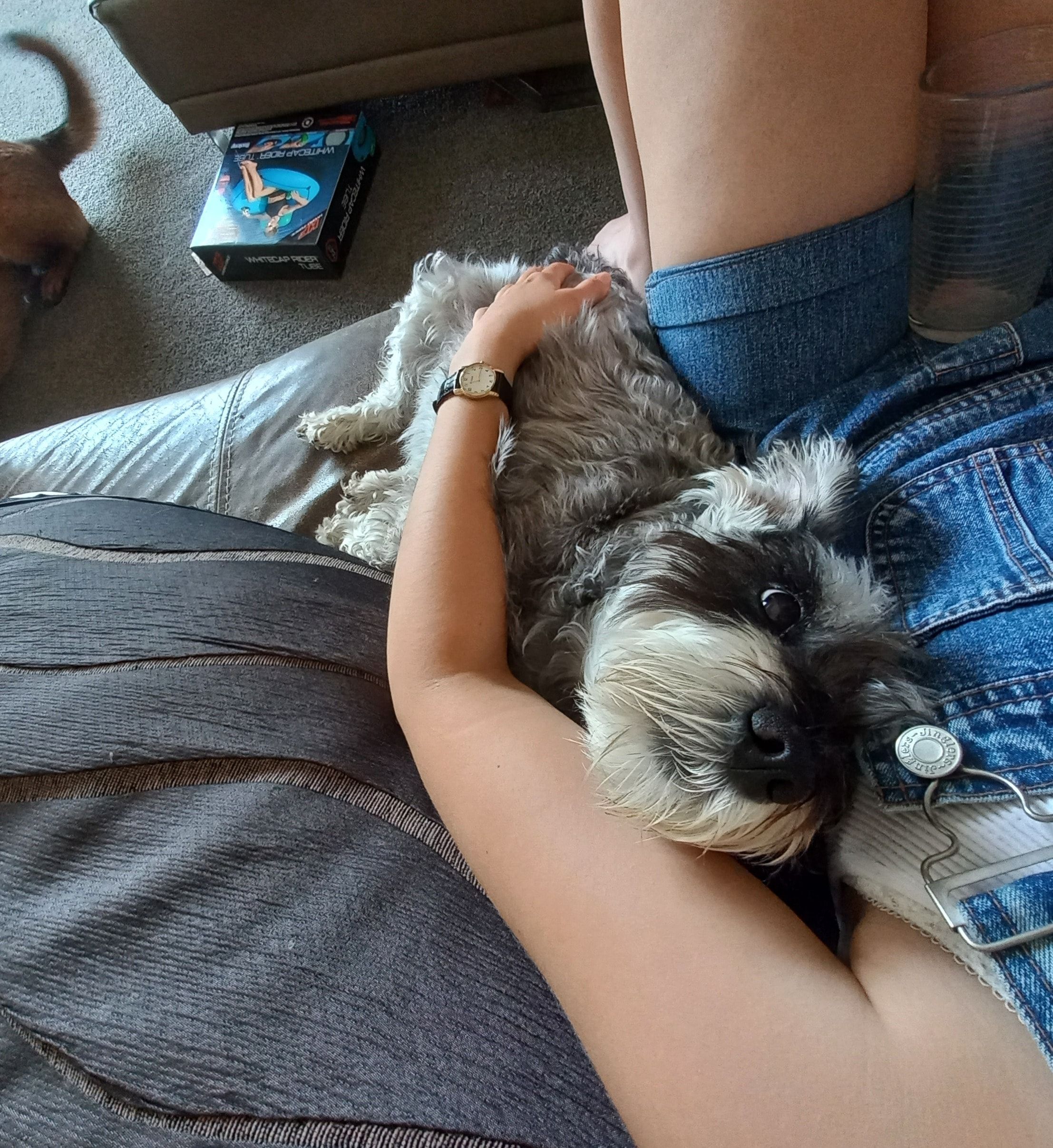 image-5
