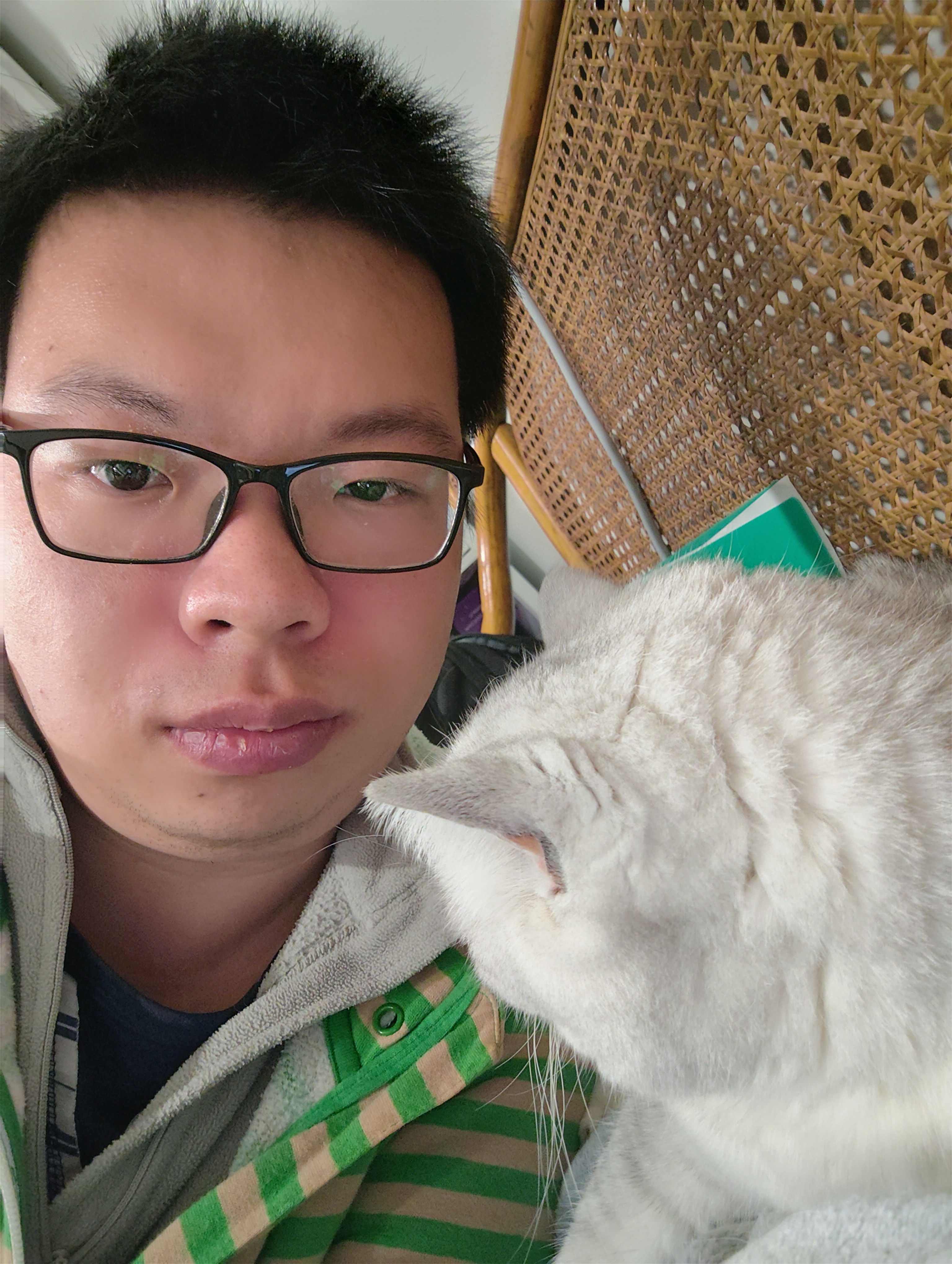 image-4