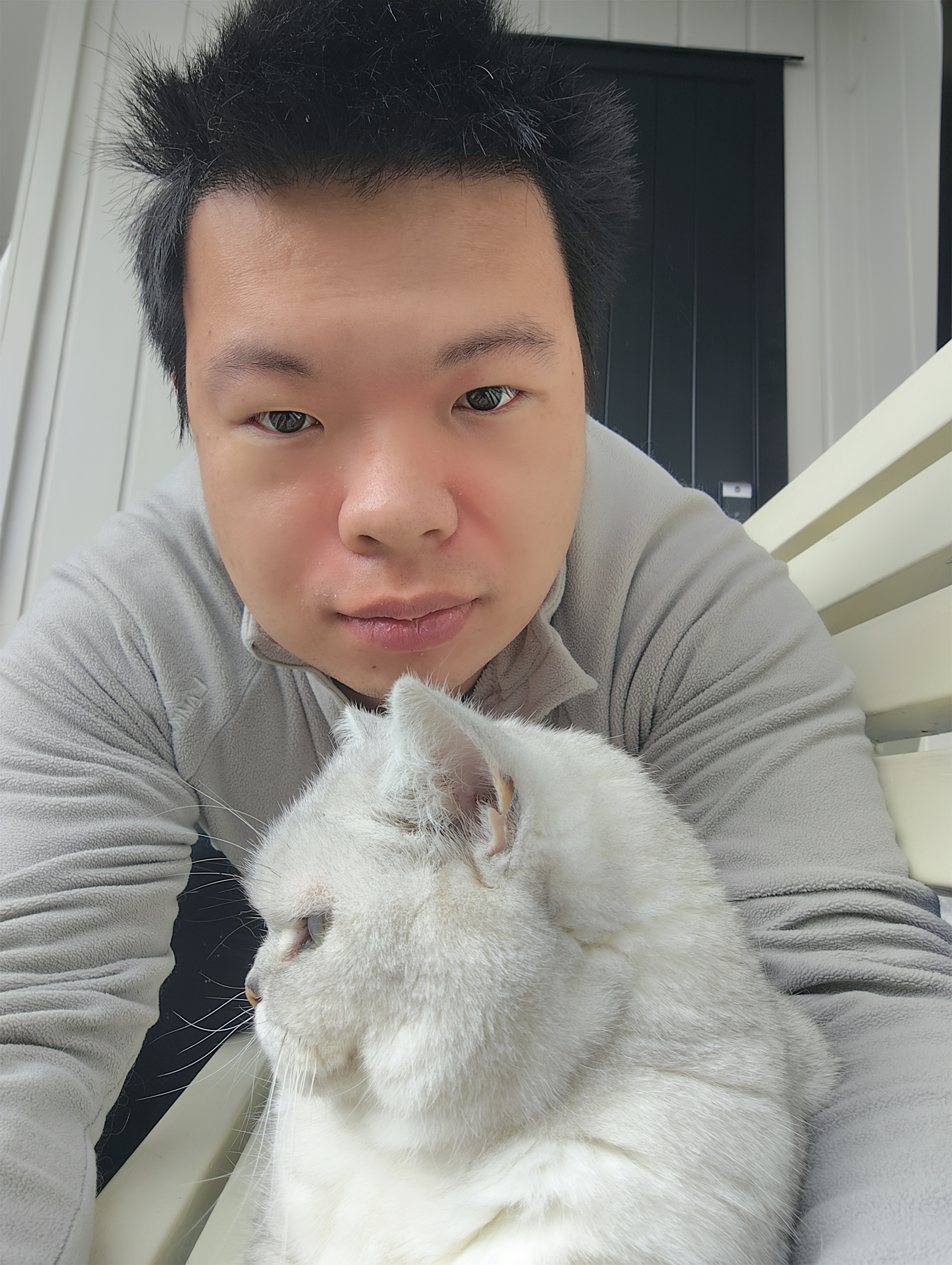 image-7