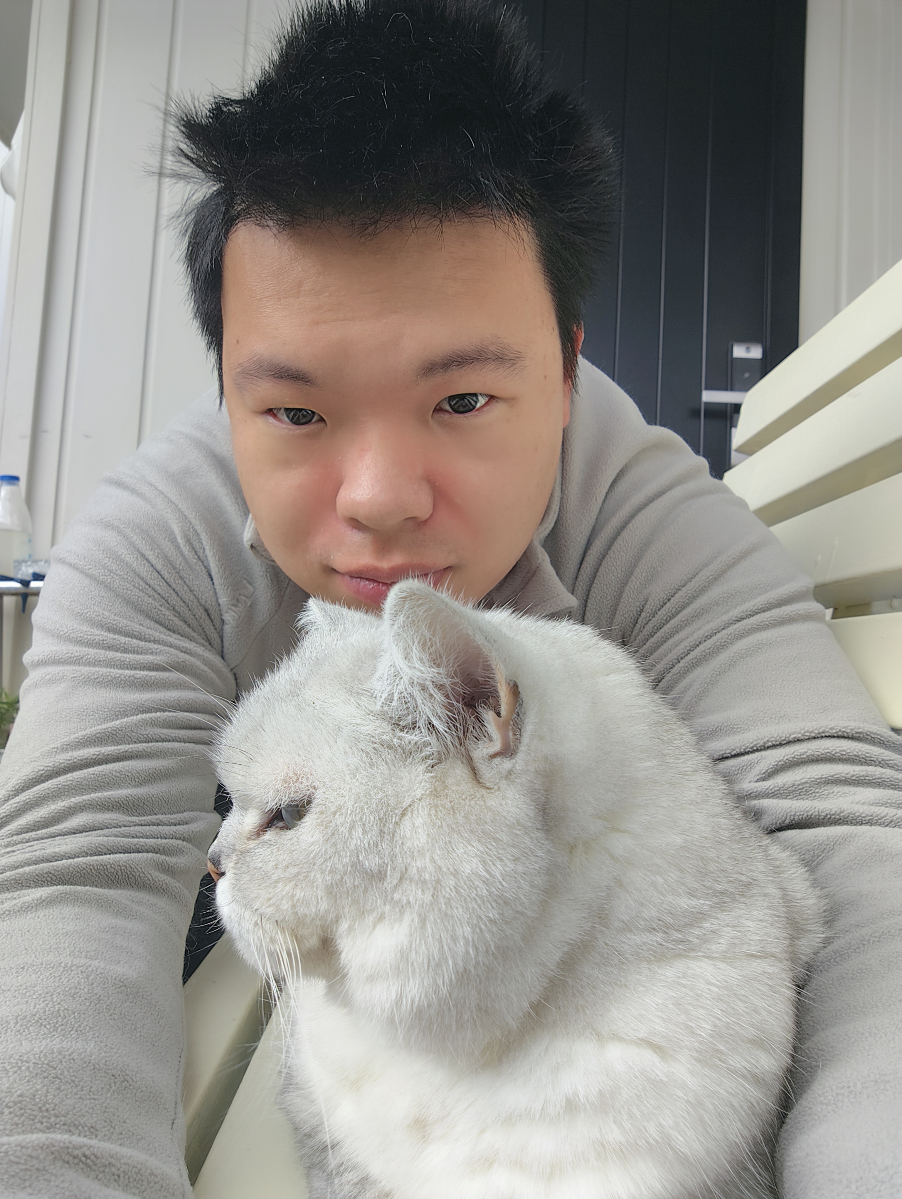image-8