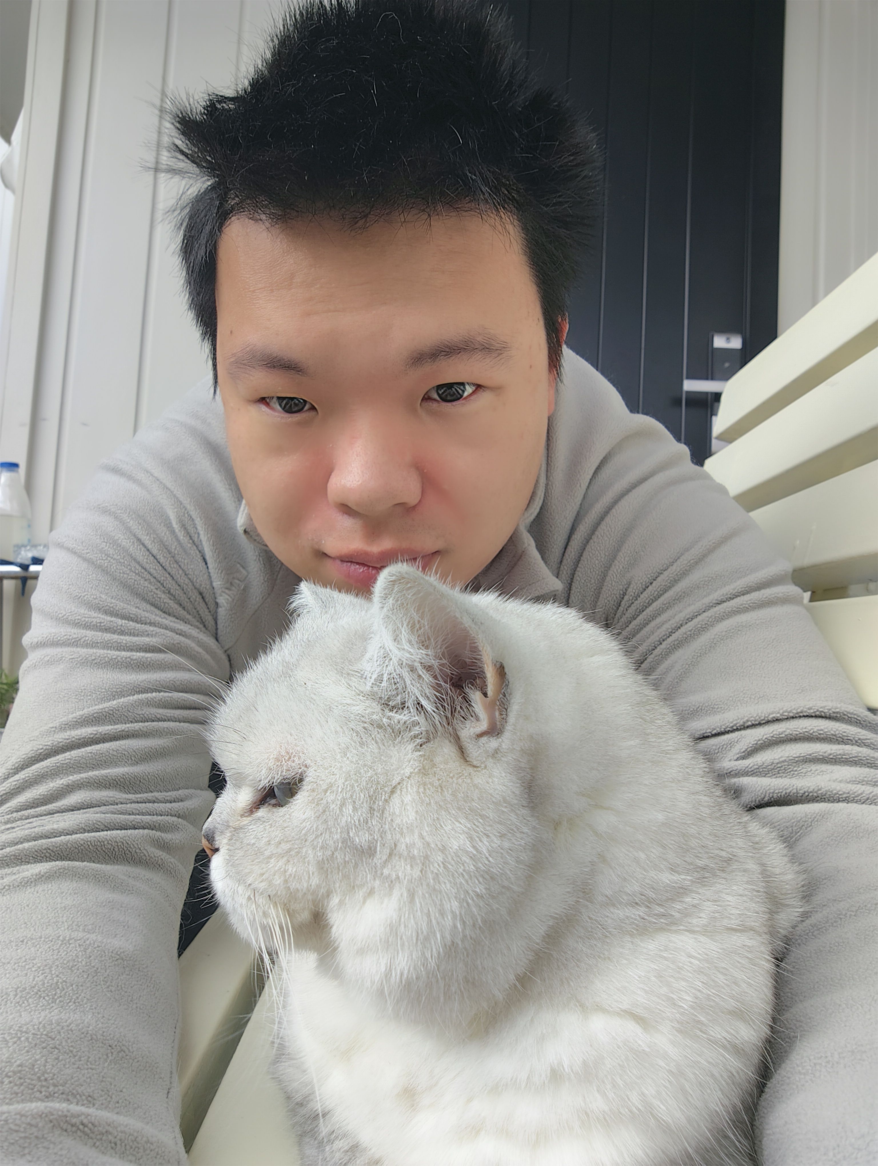 image-8