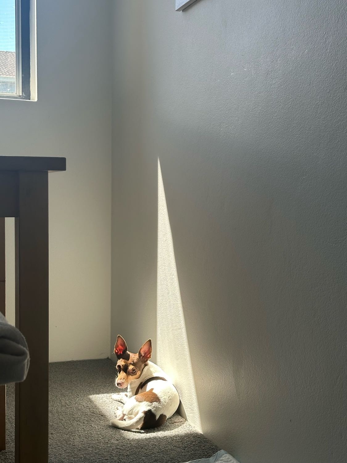 image-18