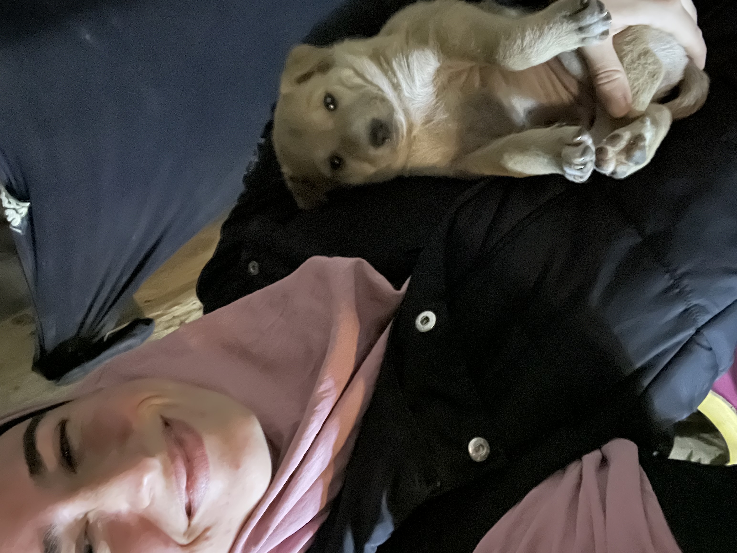 image-9