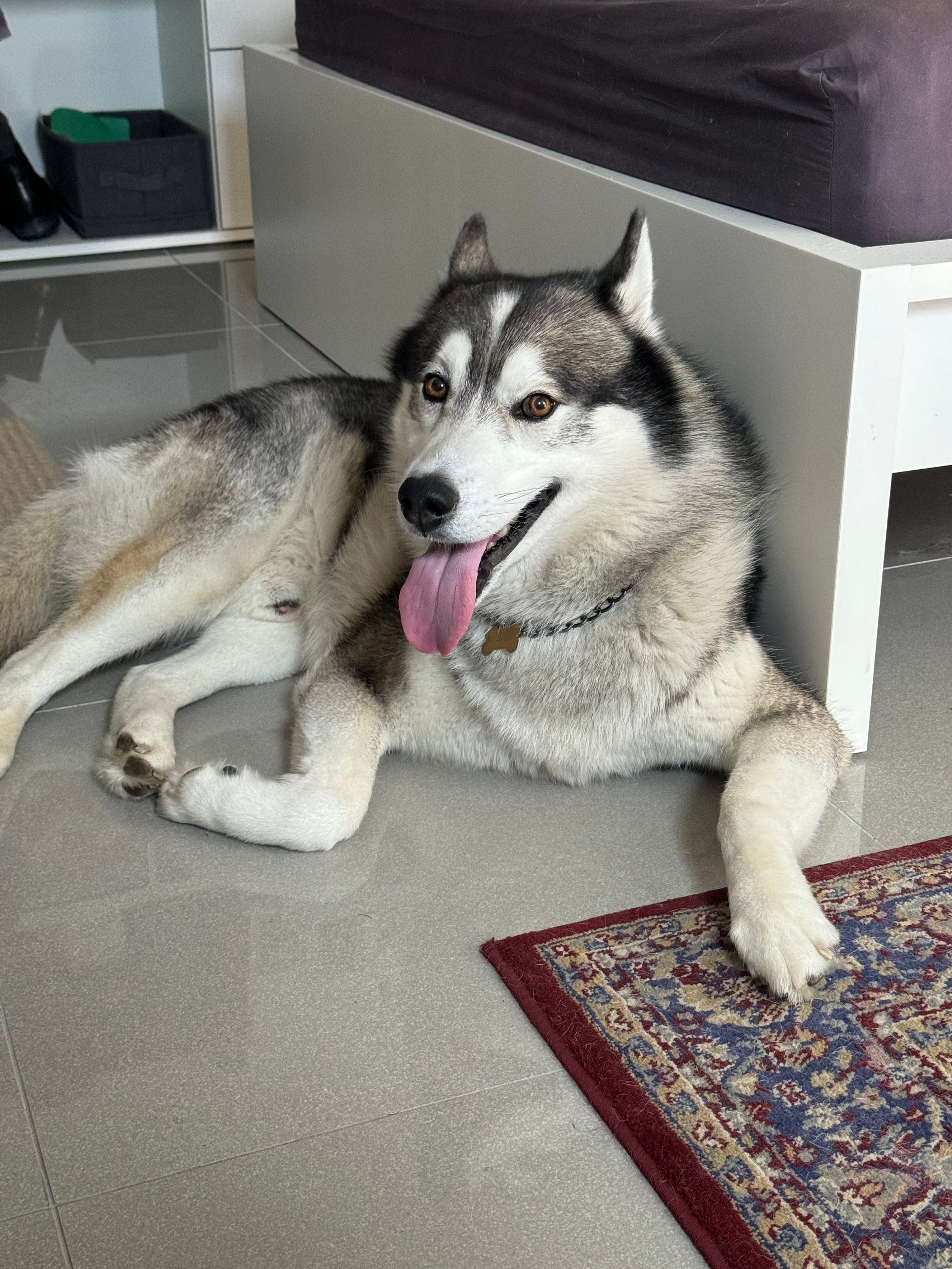 image-13