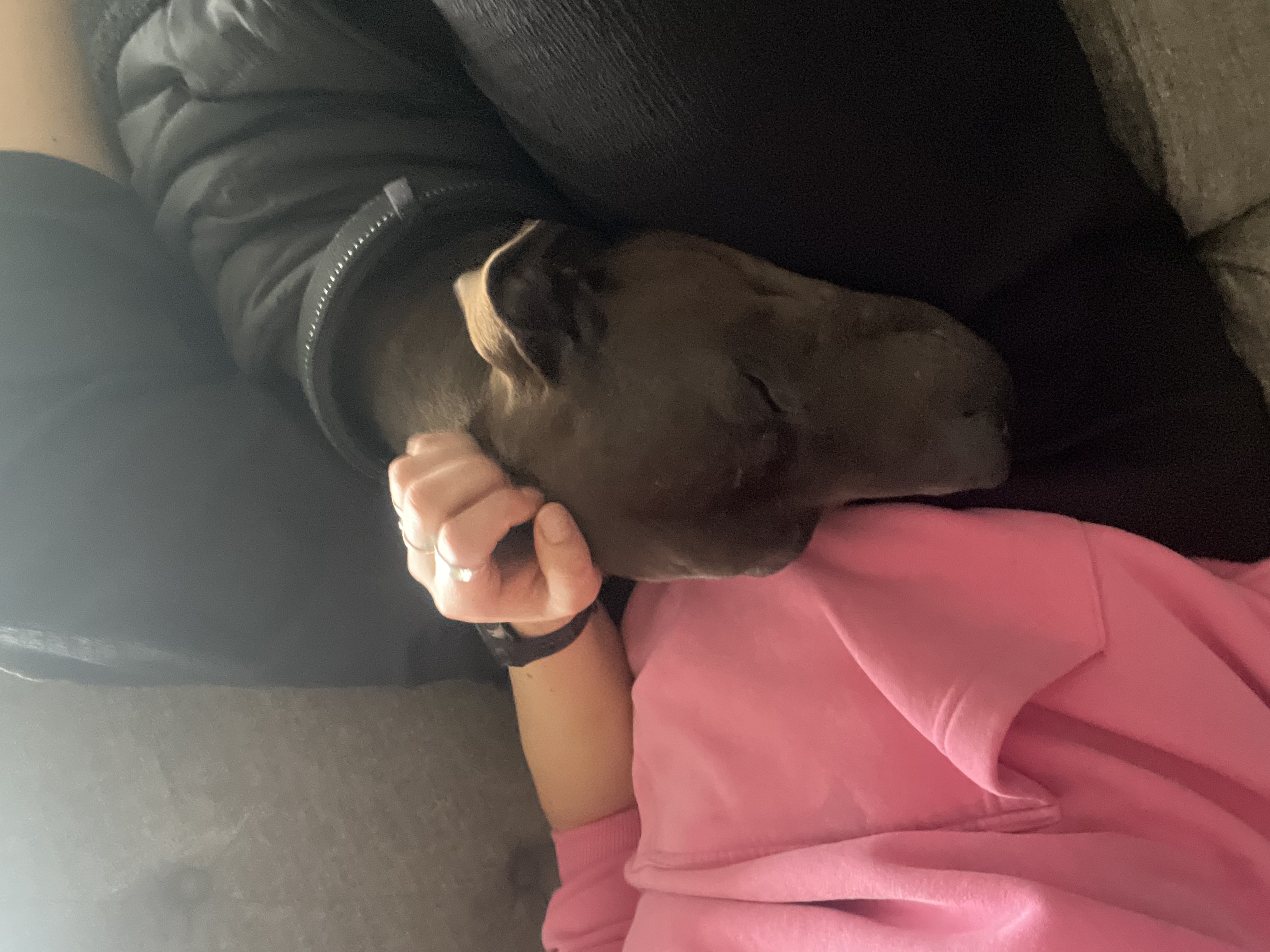 image-6