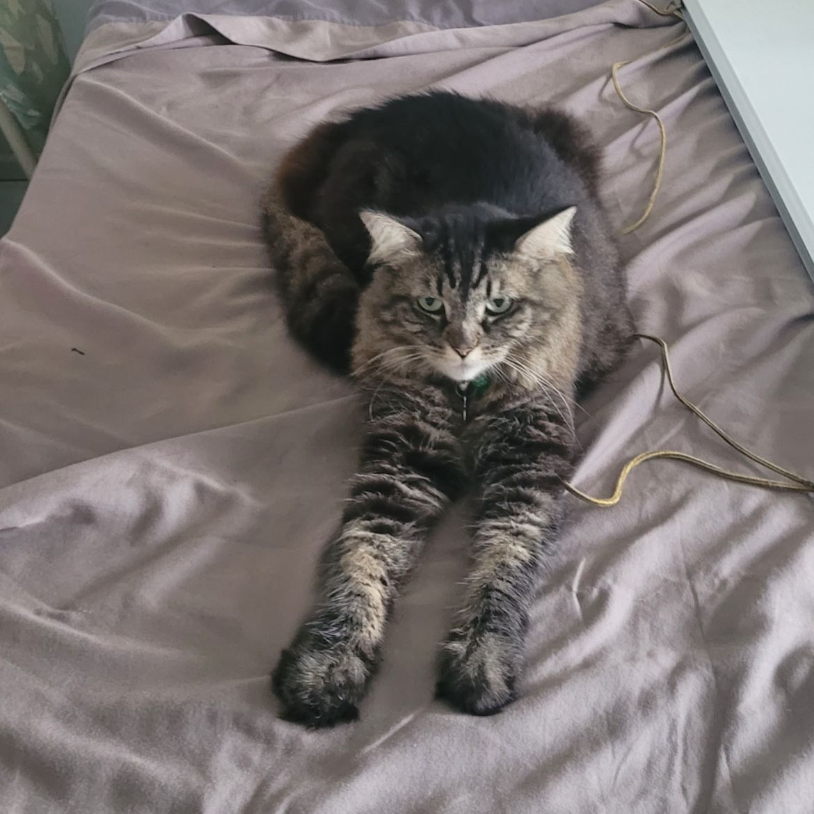 Mika