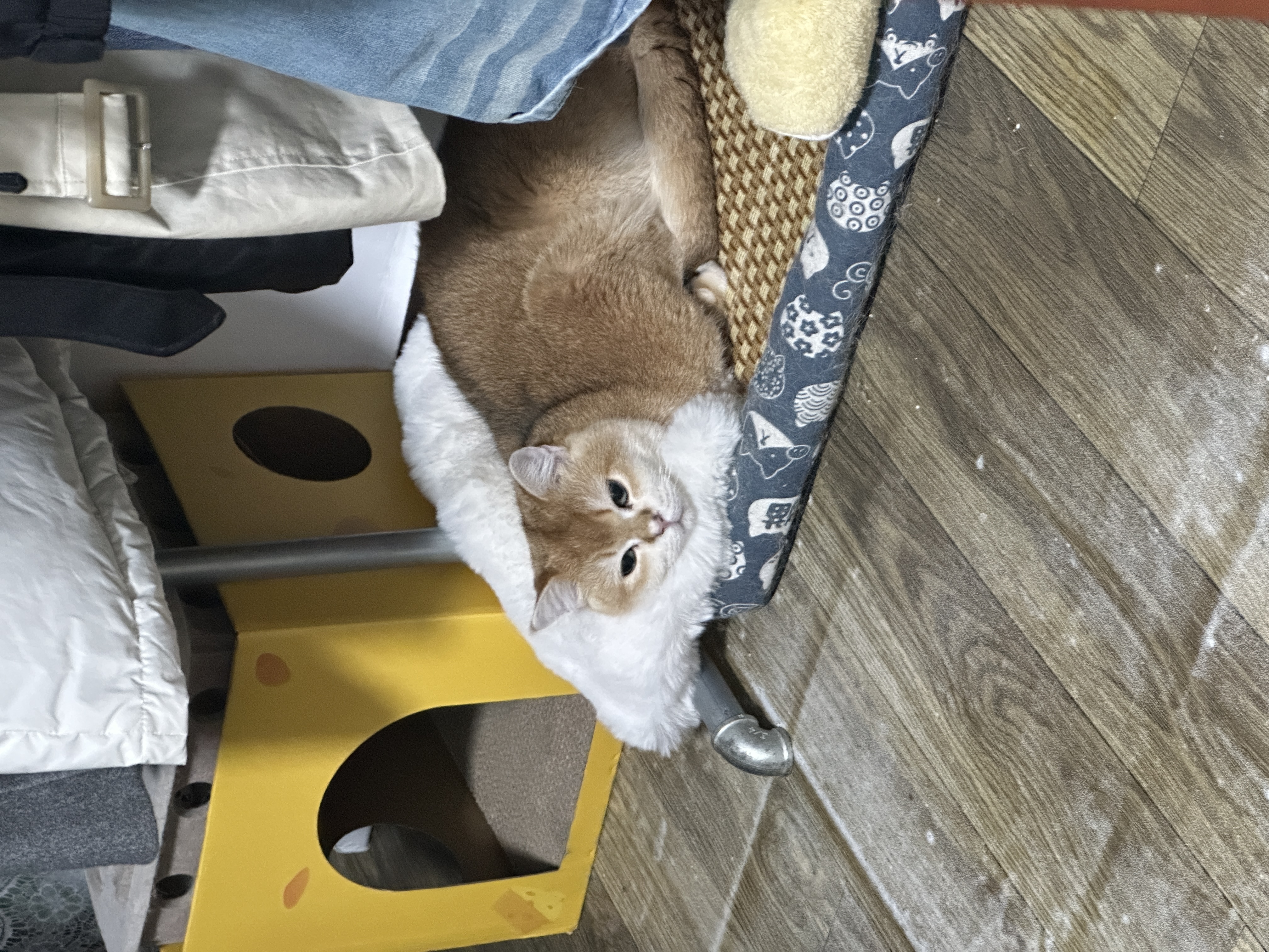 image-10