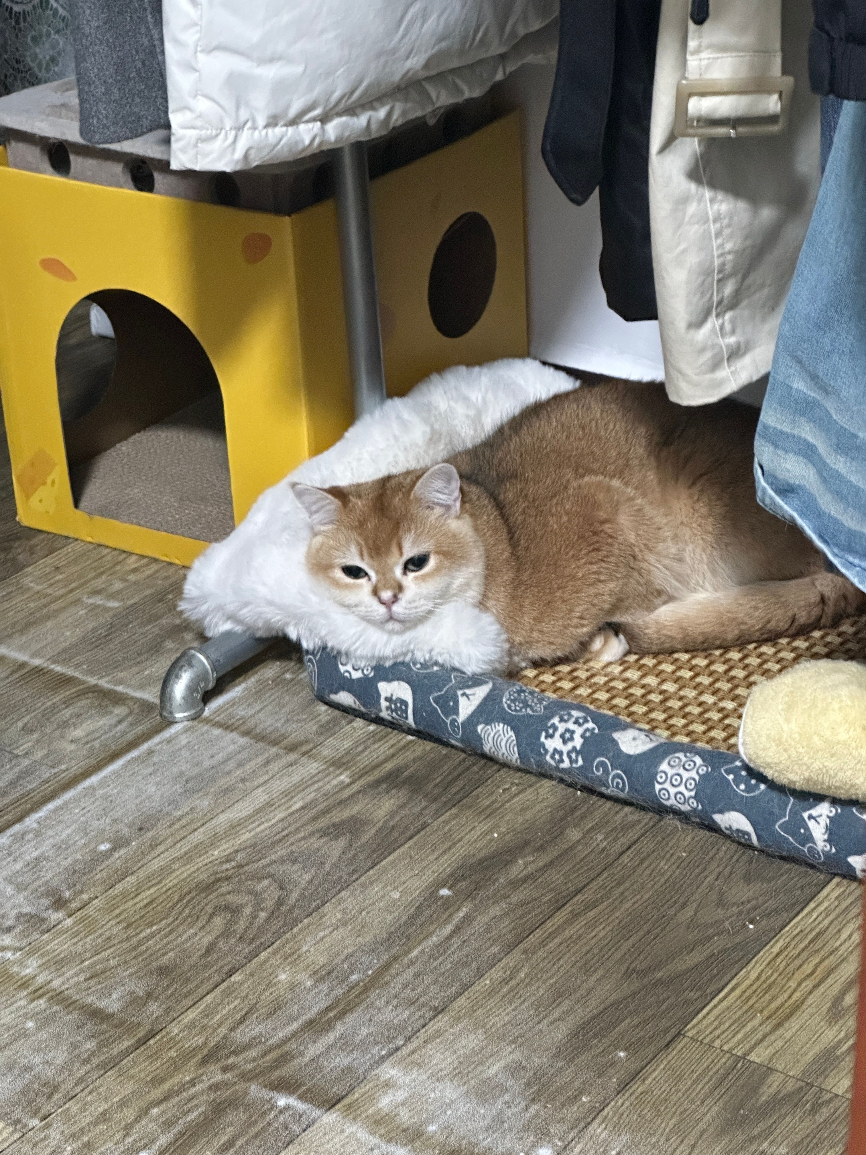 image-10