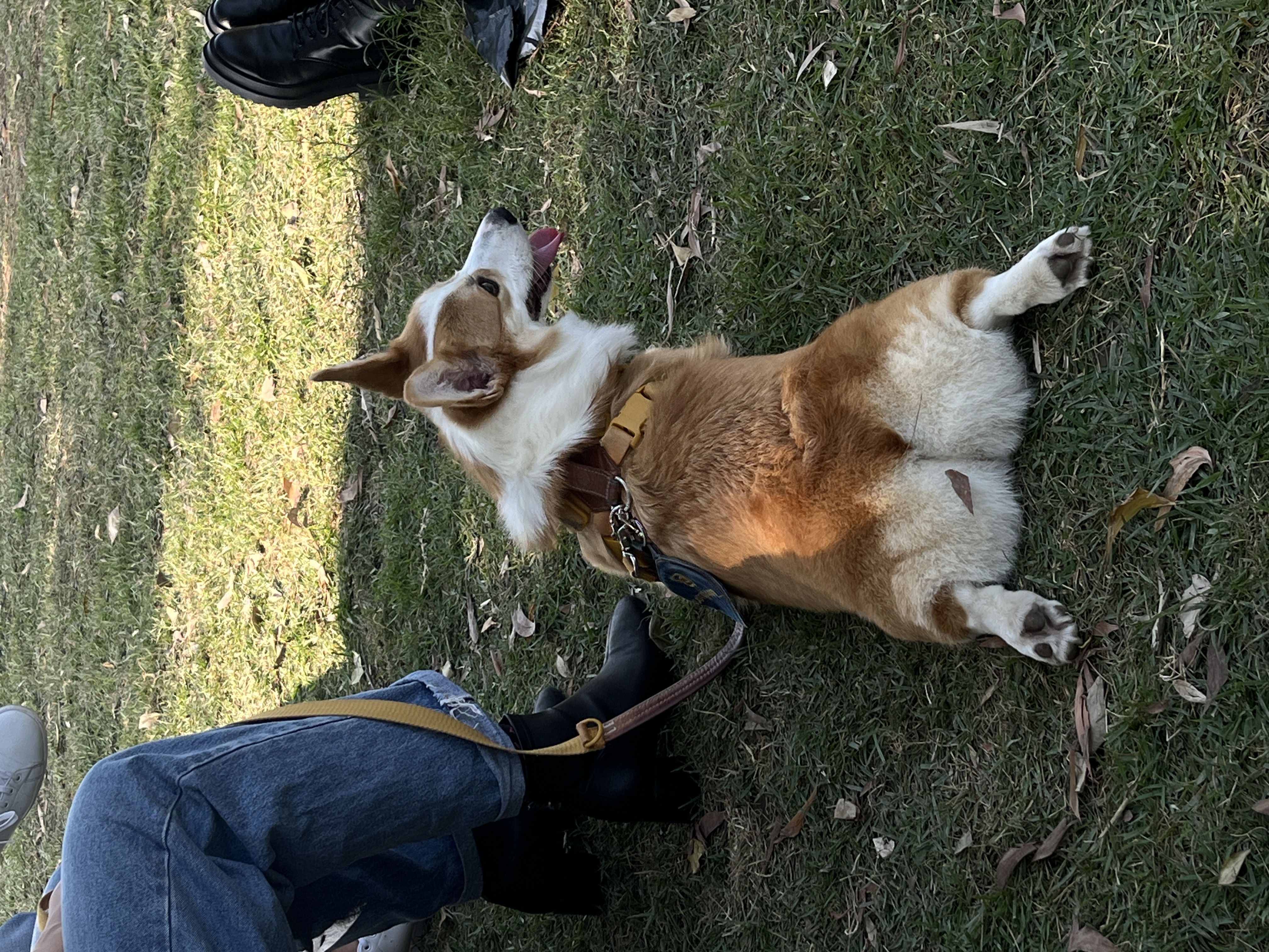 image-8