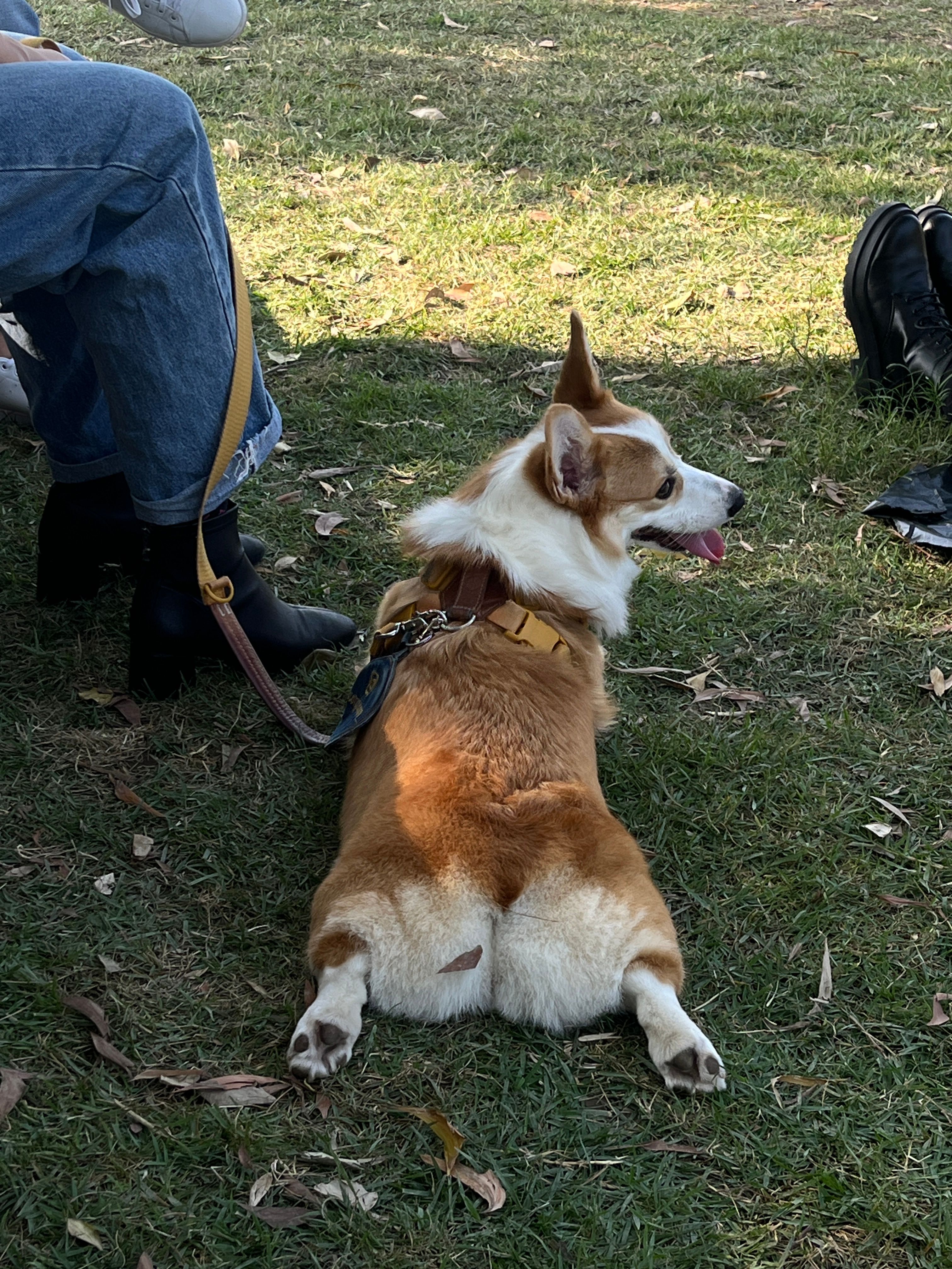 image-8
