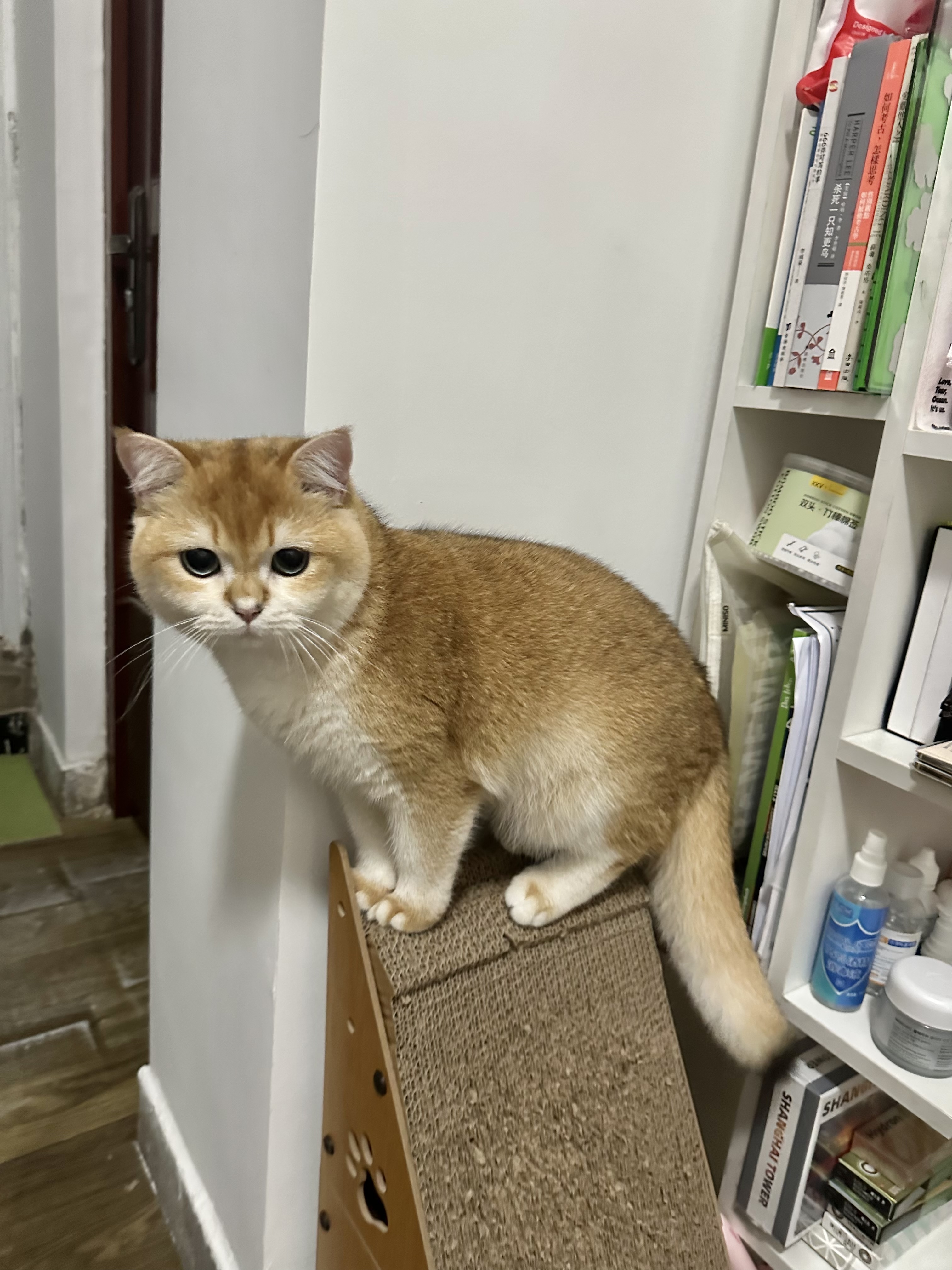 image-11