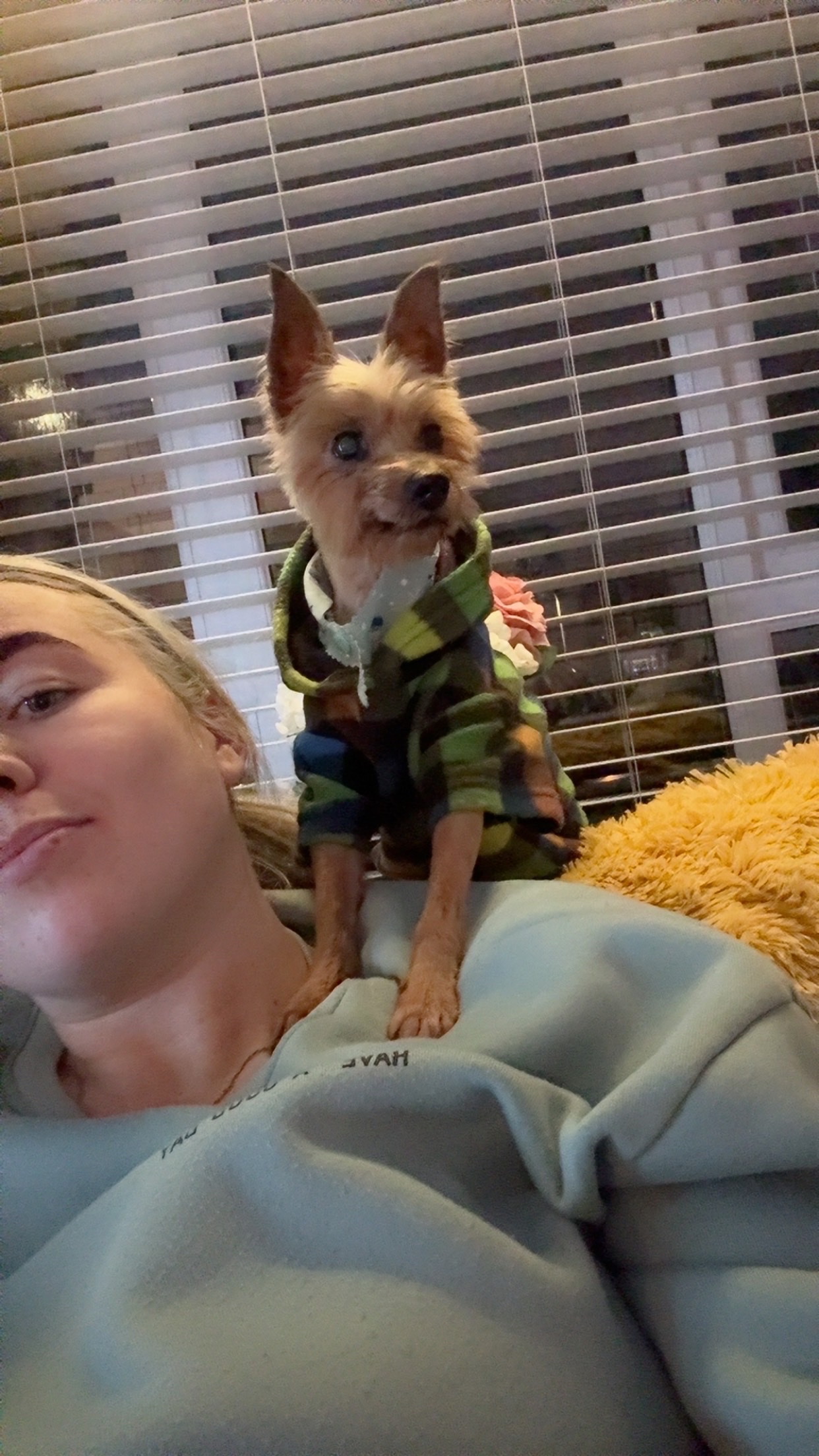 image-6