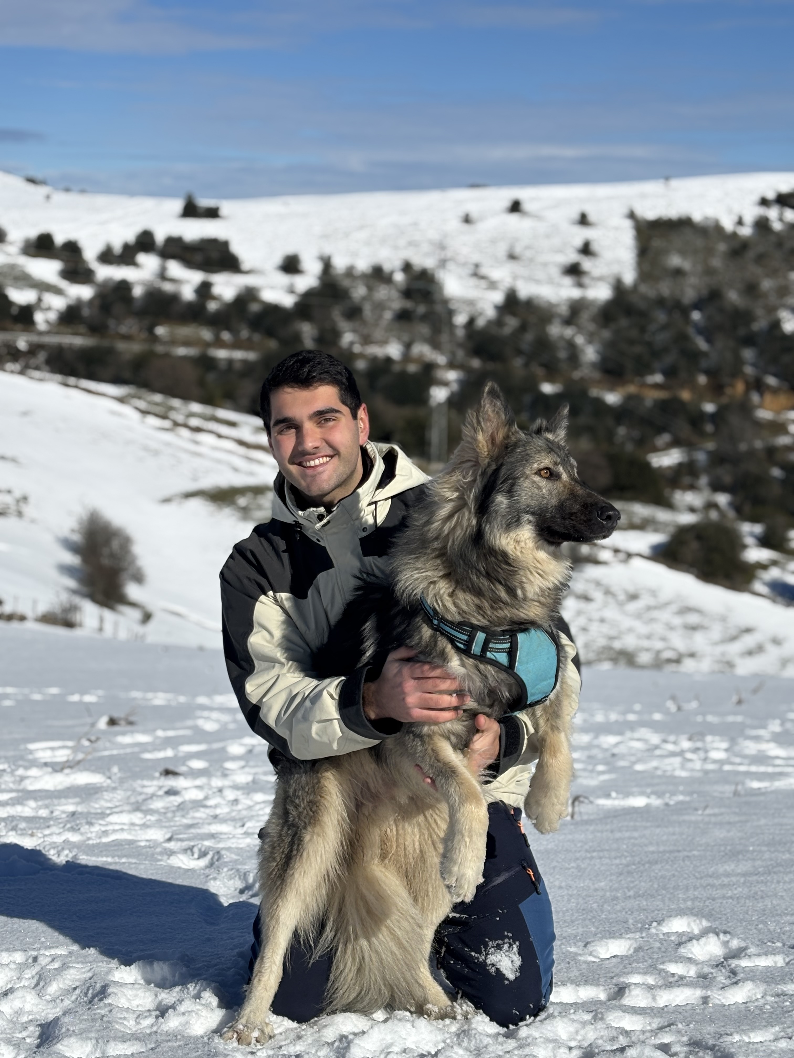 image-8