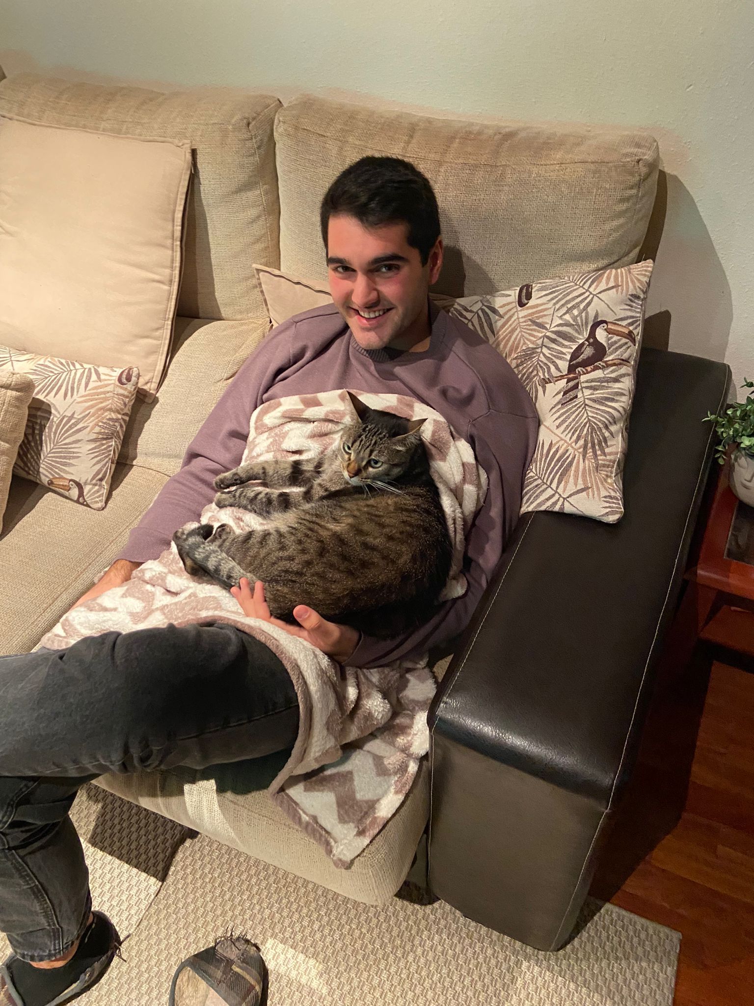 image-6