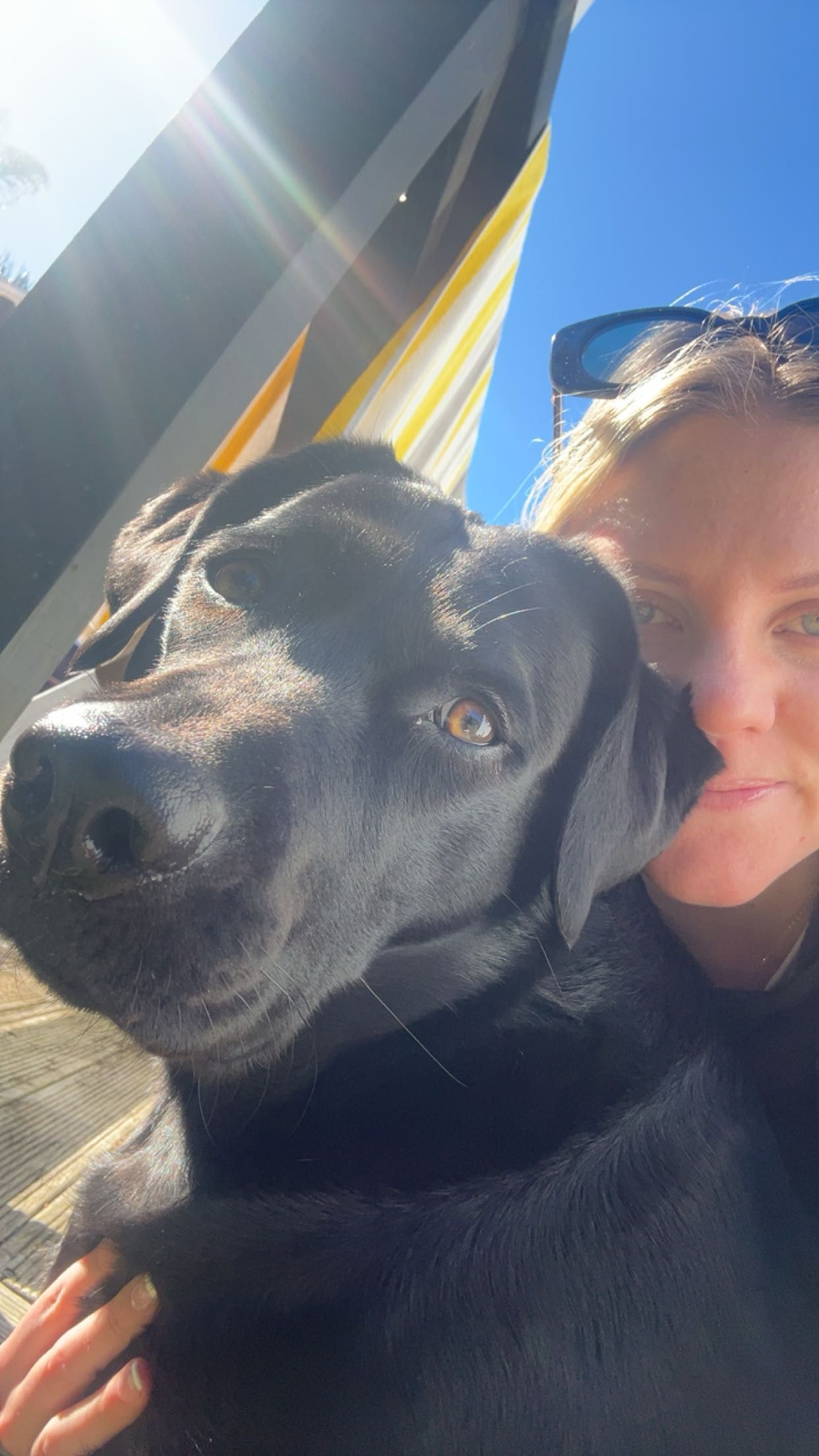 image-2