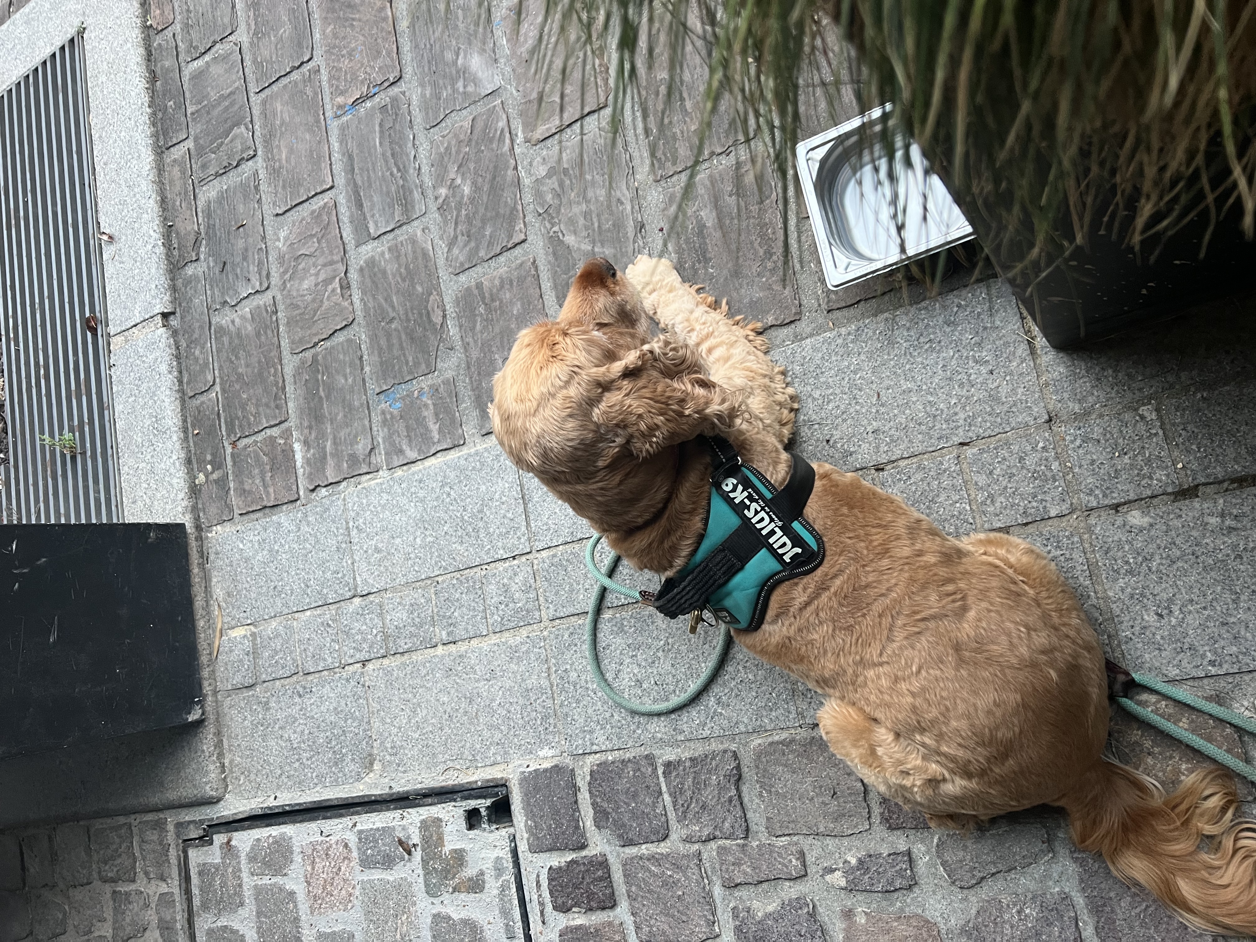 image-5