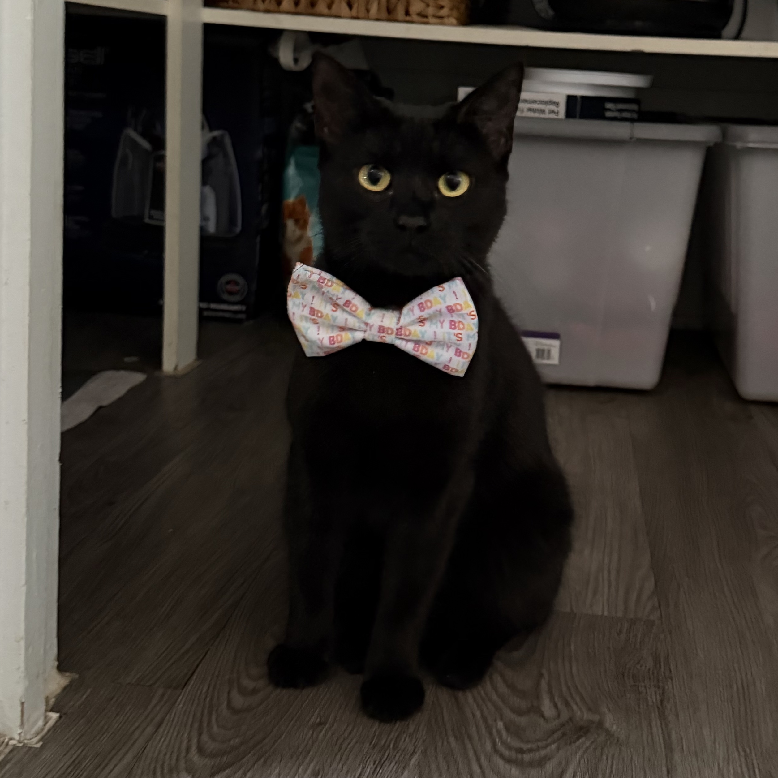 Milly